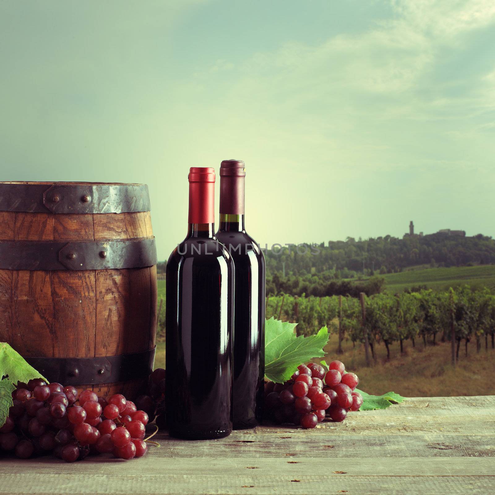 Red wine bottles with barrel and grapes, vineyard on background