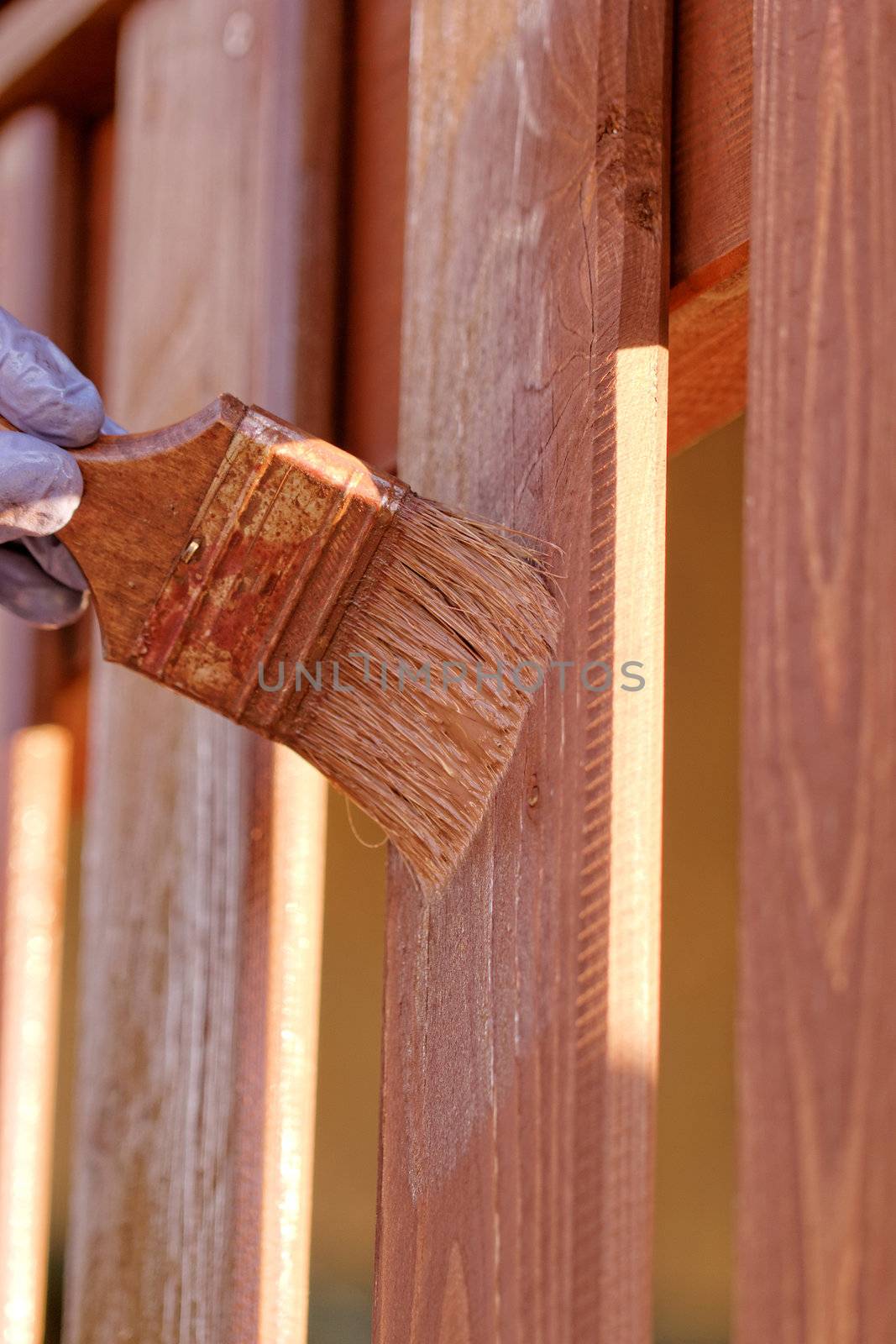 planks fence dyeing with brown paint and brush