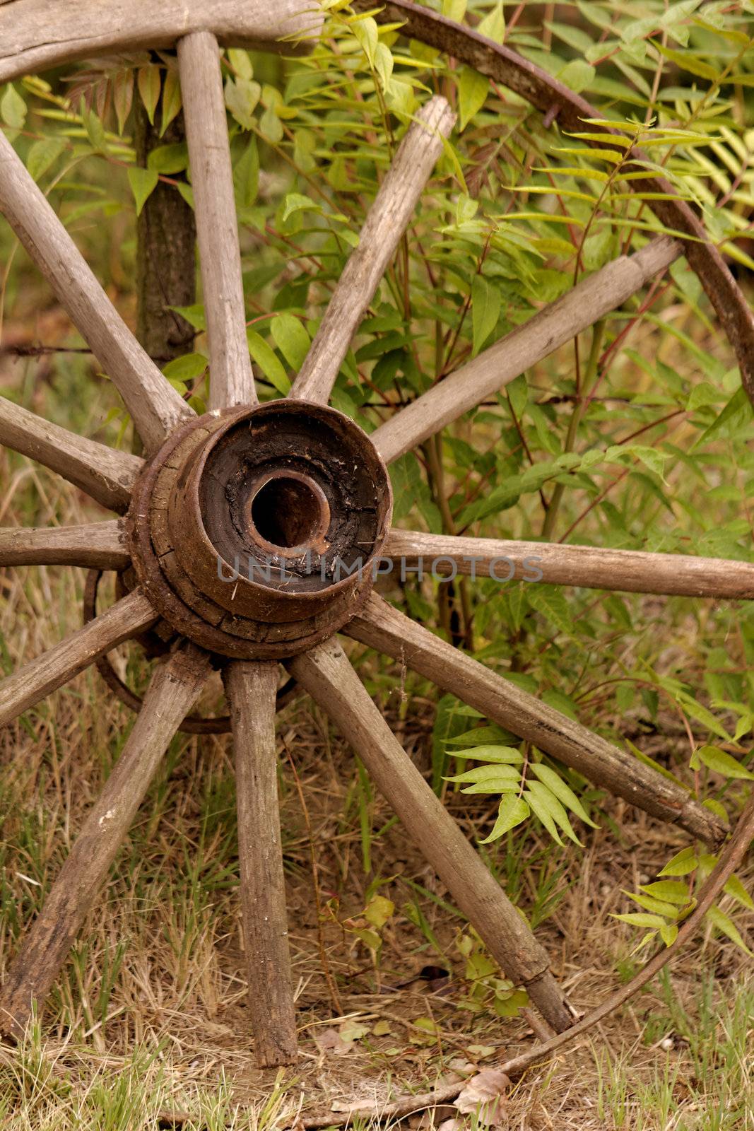 old wagon wheel side by wooden wall