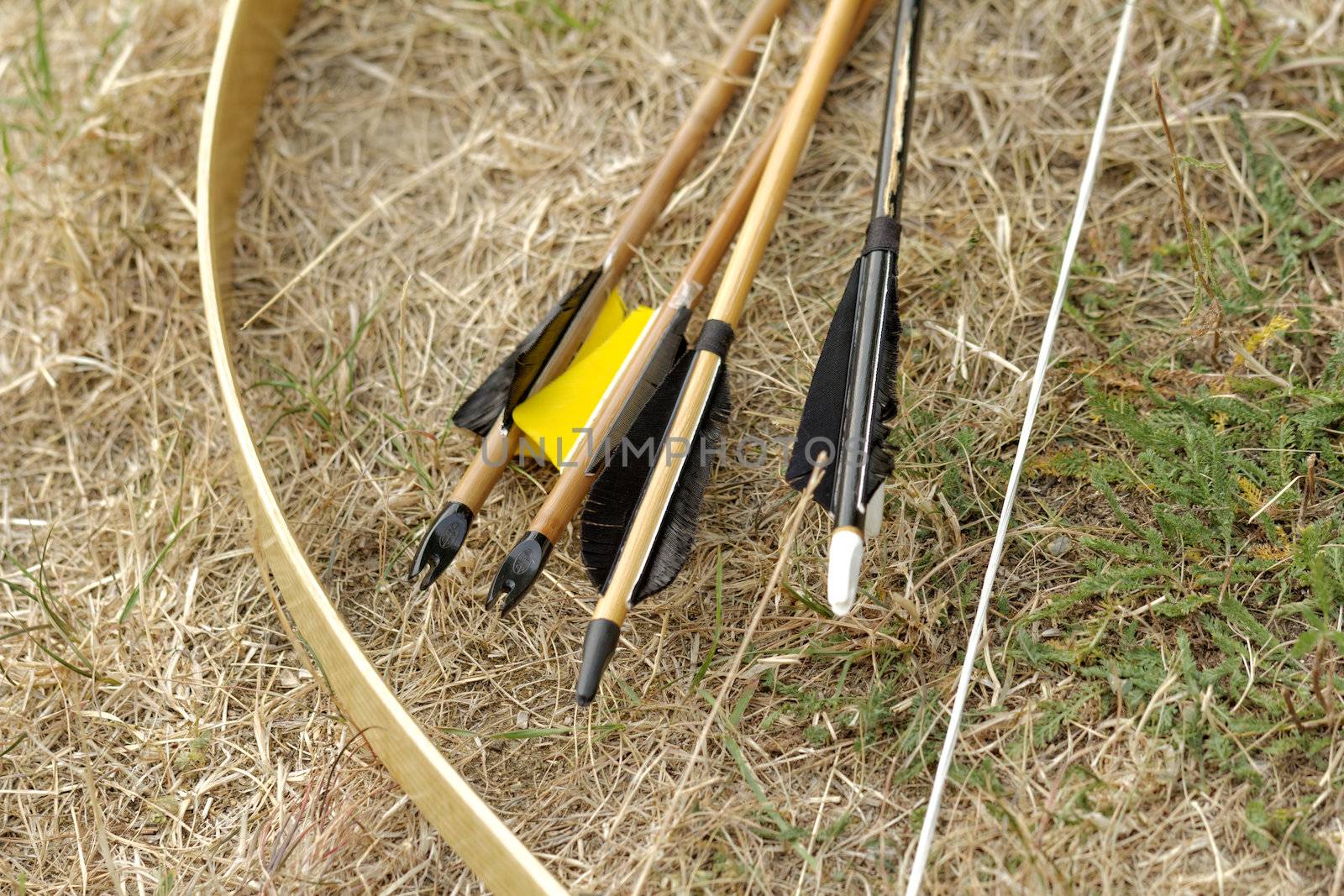 color archery arrows and bow in nature on the ground