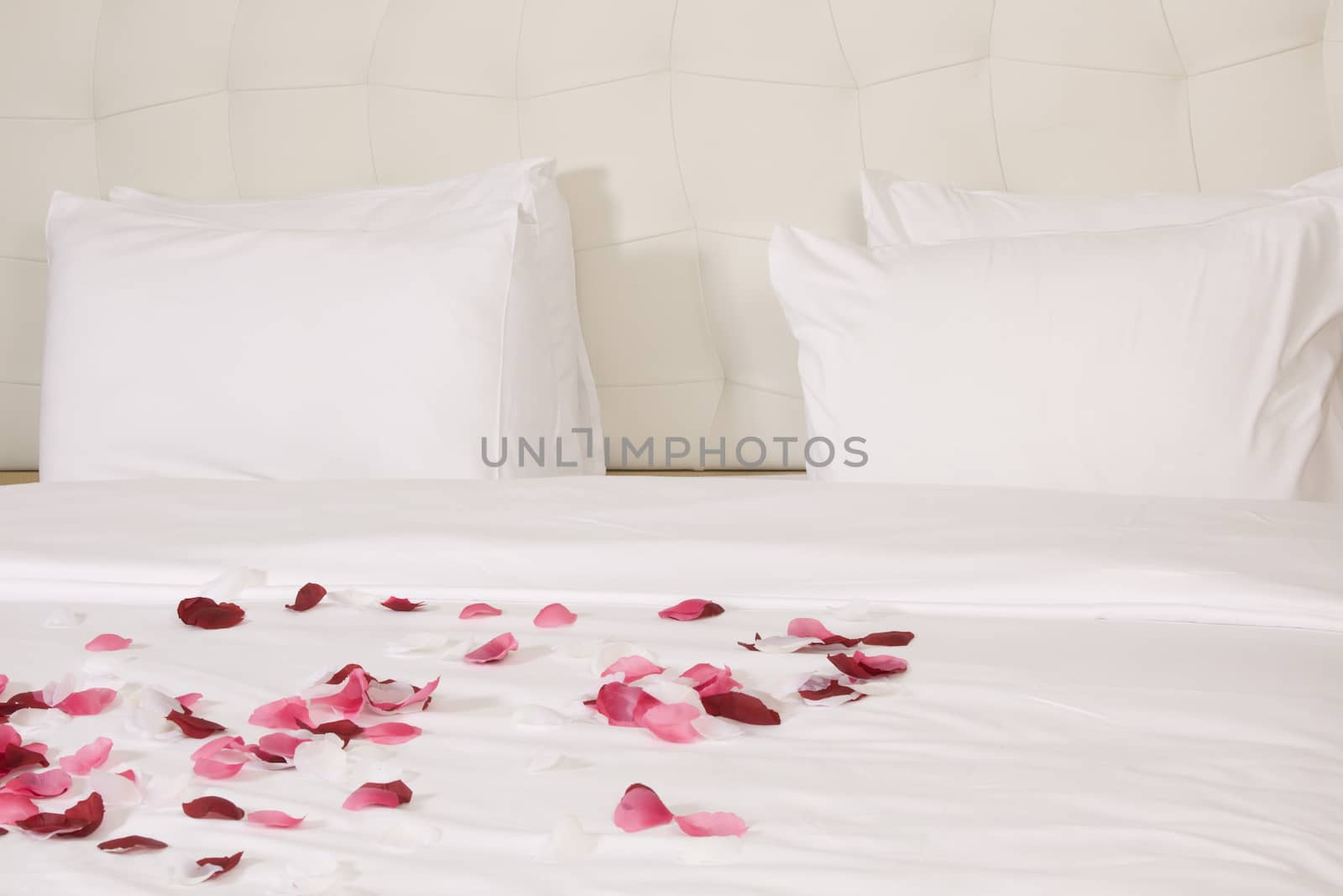 hotel room with big bed and red flowers by senkaya