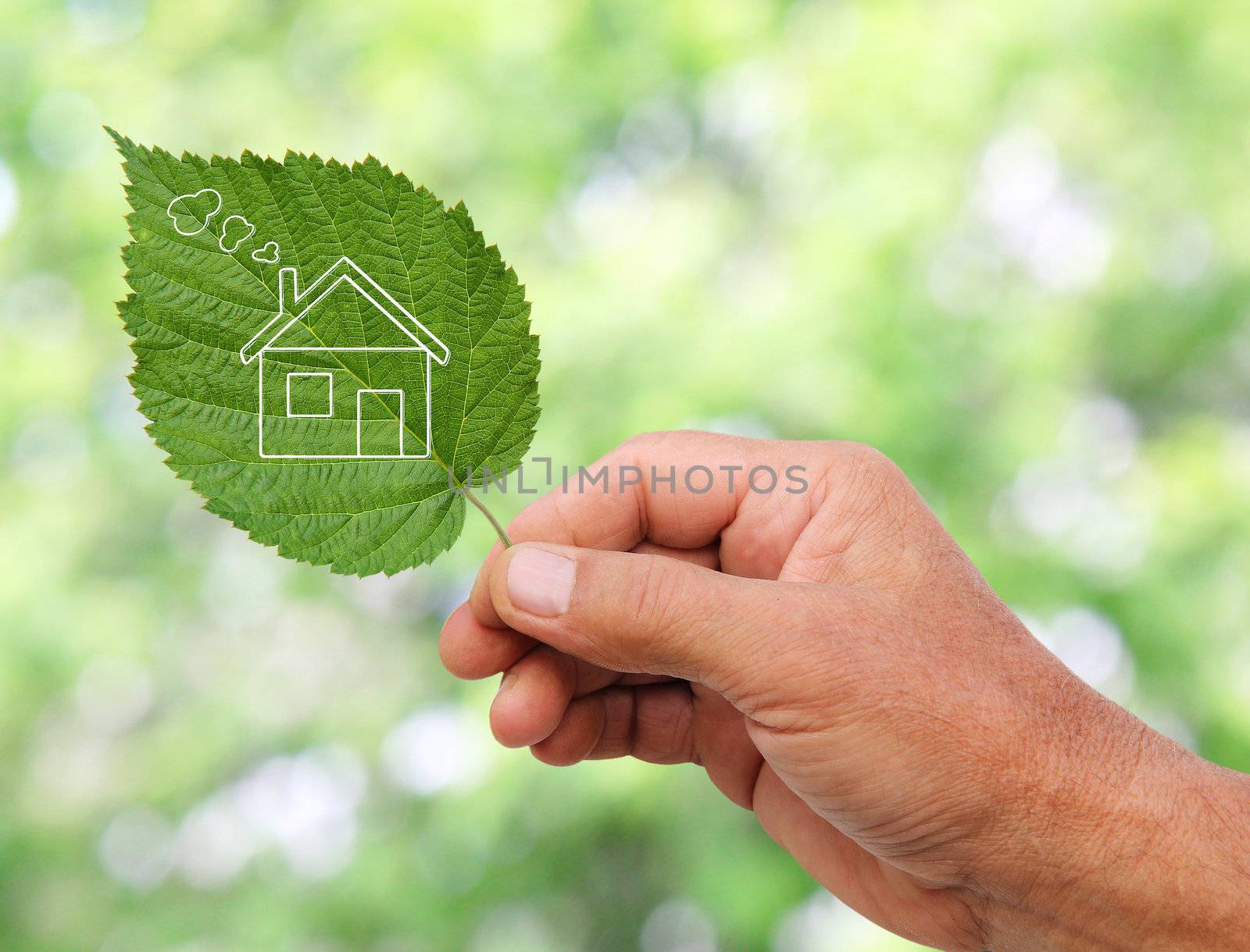 Eco house concept ,hand holding eco house icon in nature 