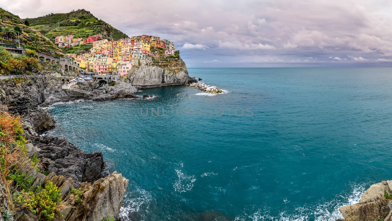 Panoramic view of colorful village Manarola, Cinque Terre by martinm303