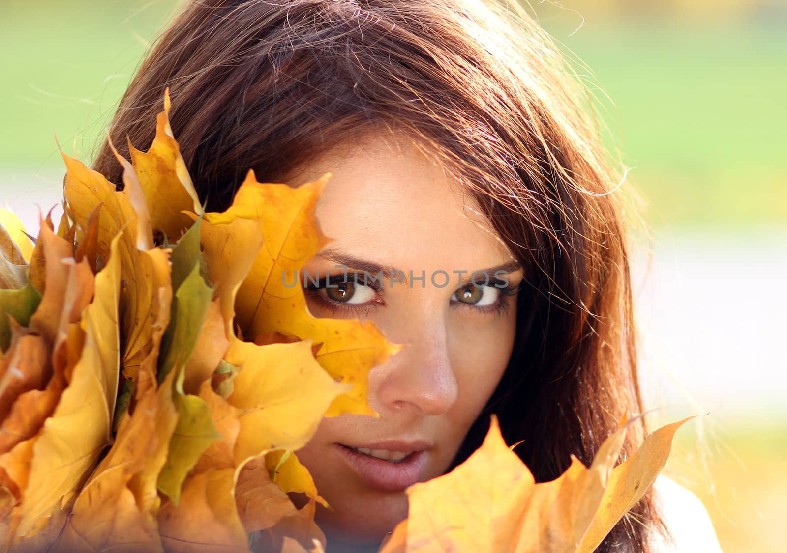 young beautiful girl with a bouquet of maple leaves