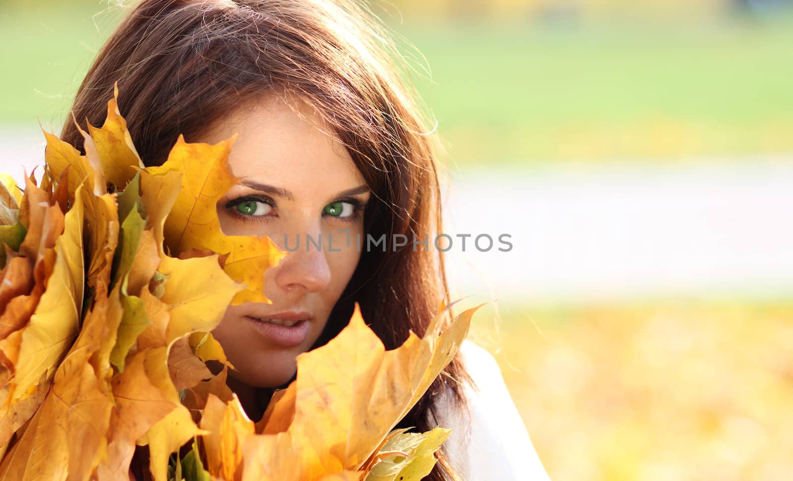 young beautiful girl with a bouquet of maple leaves
