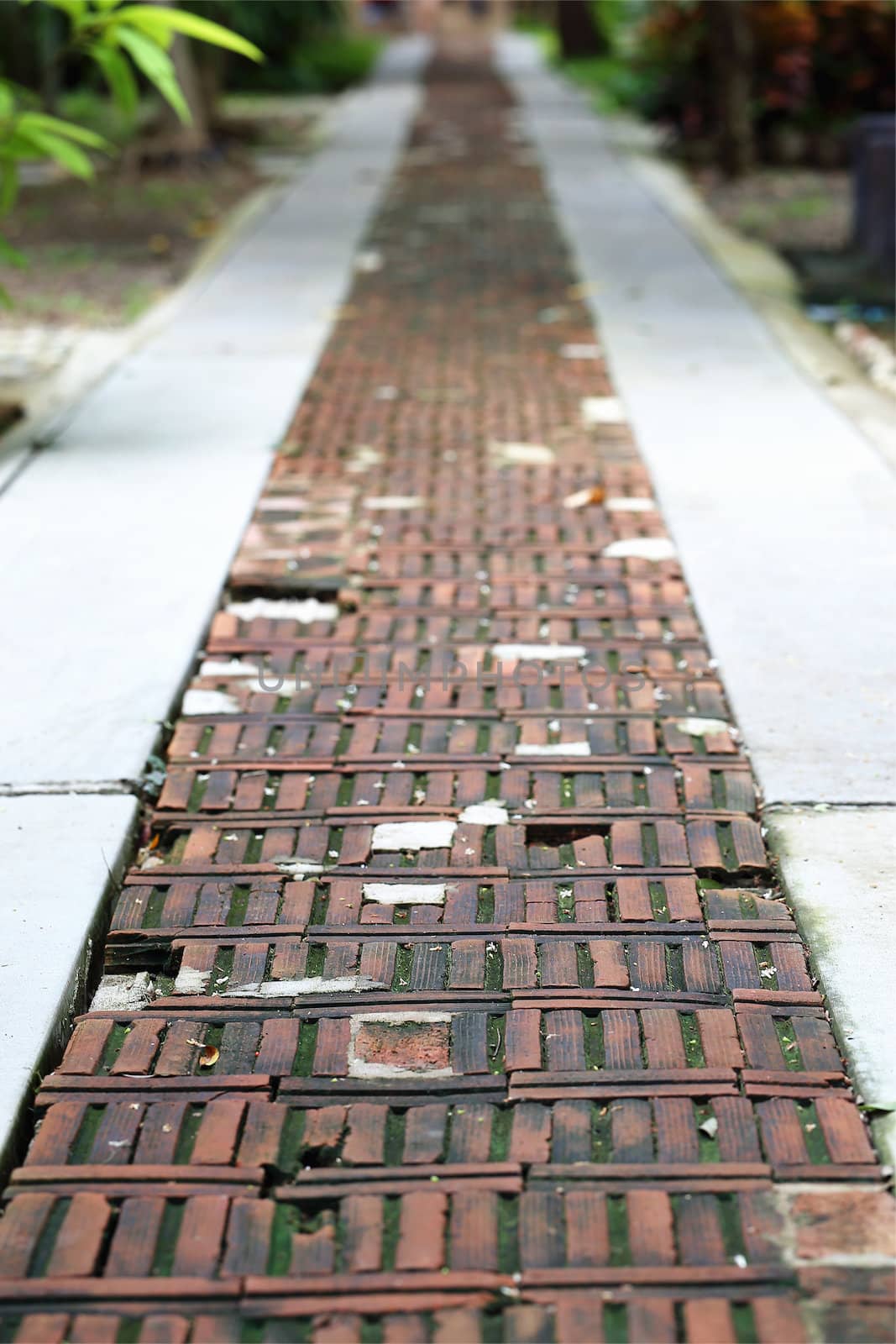 A boardwalk stretching in front of the viewer