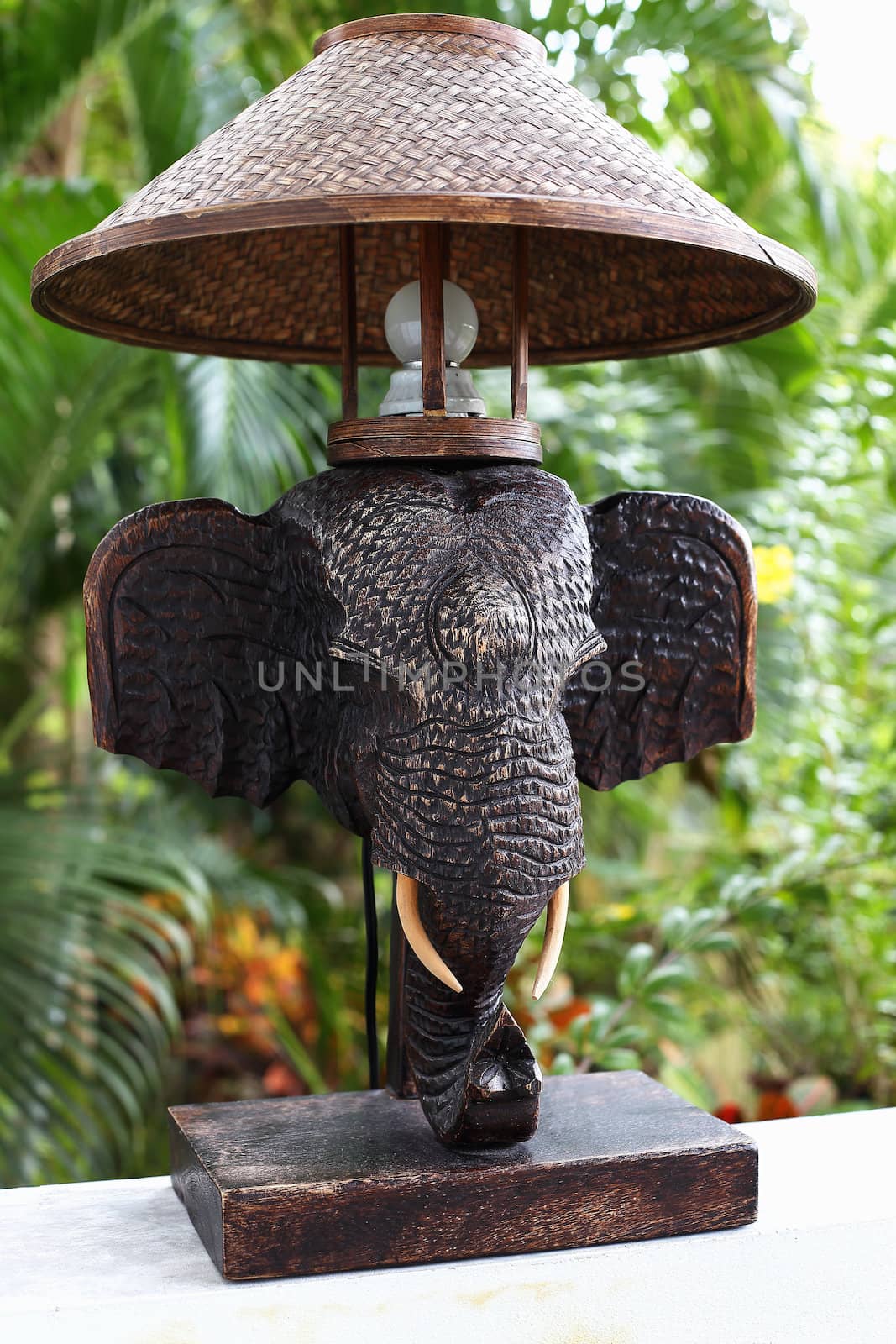 elephant with electric light