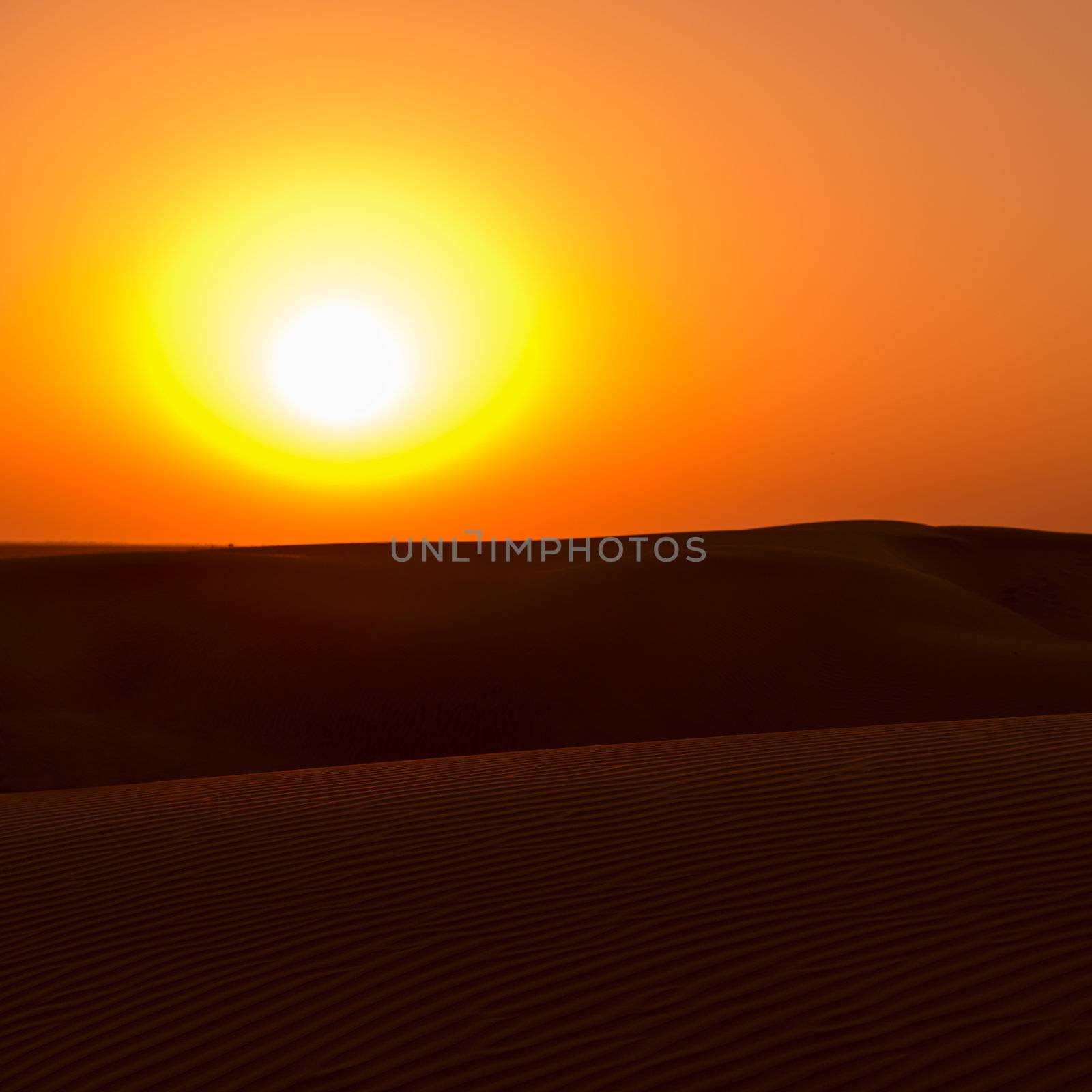Sunset in desert by iryna_rasko