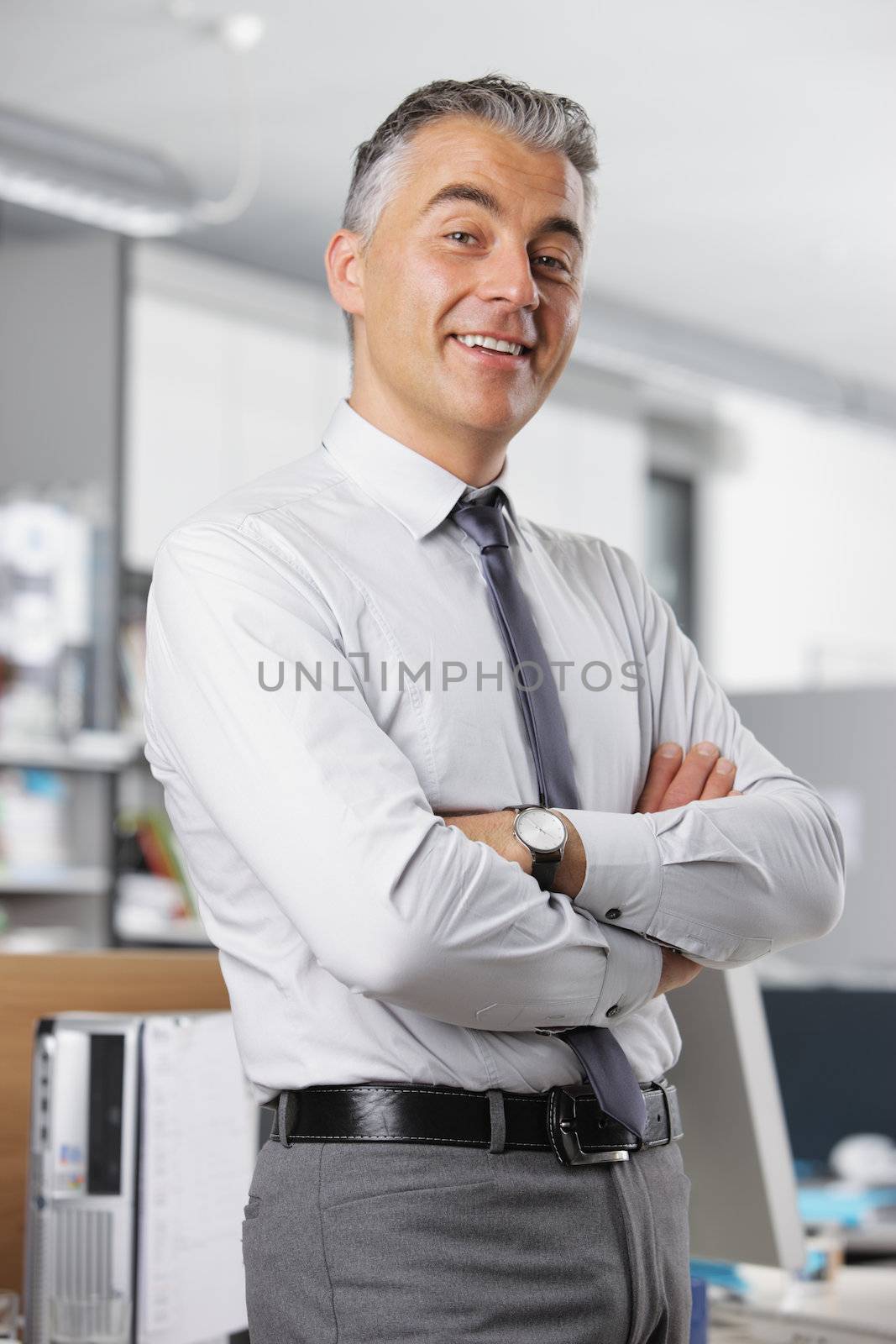 Portrait of a mature business man in office