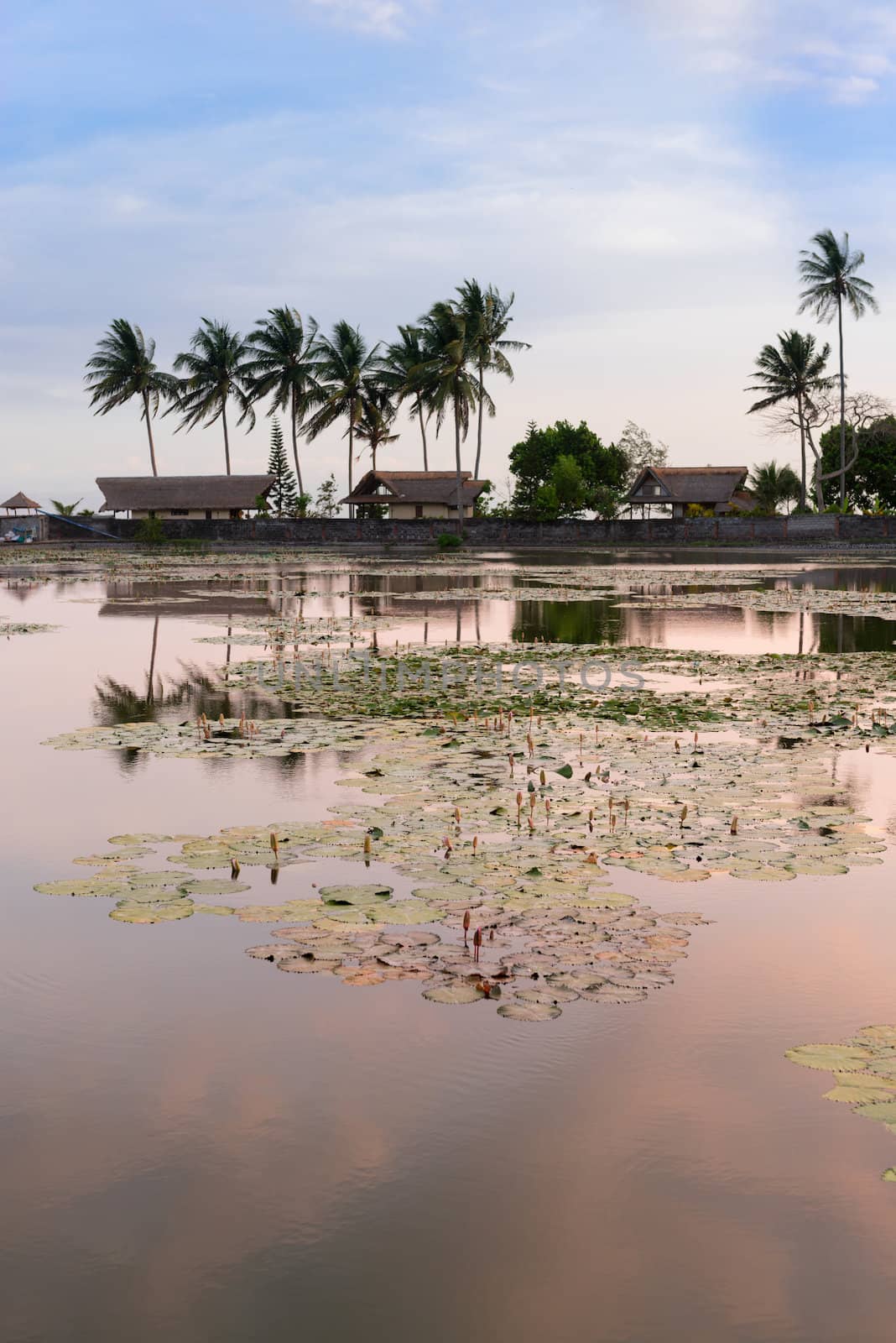 Sunset on a tropical lake with palms and houses on background