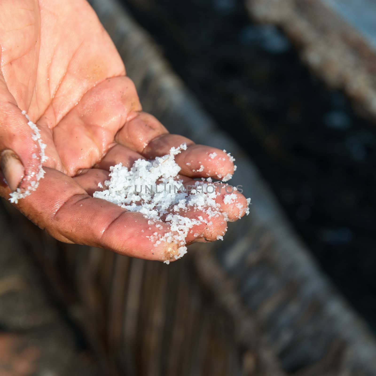 Worker's hand with fresh extracted sea salt by iryna_rasko