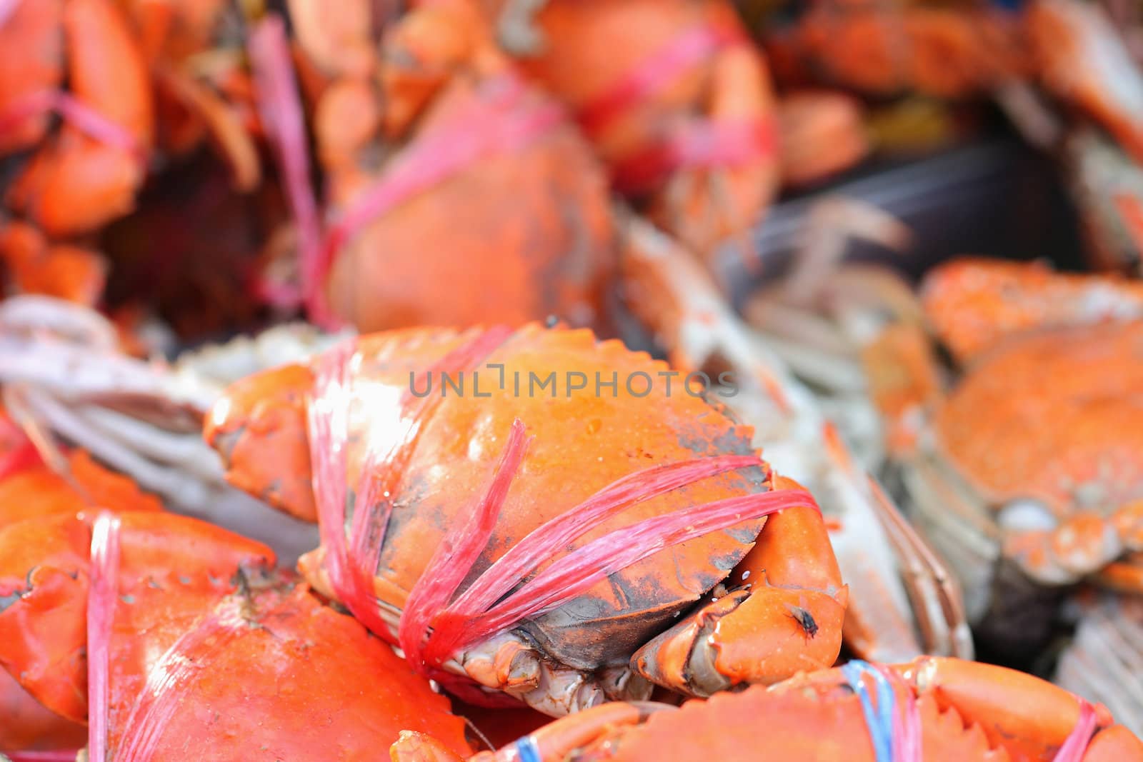 Many red crabs for sale on market