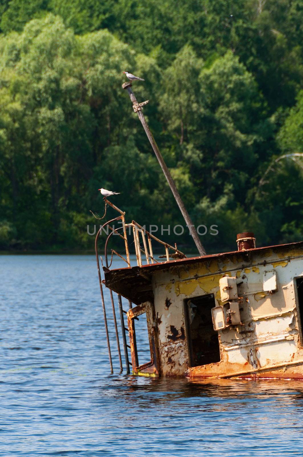 Wrecked abandoned ship on a river by iryna_rasko