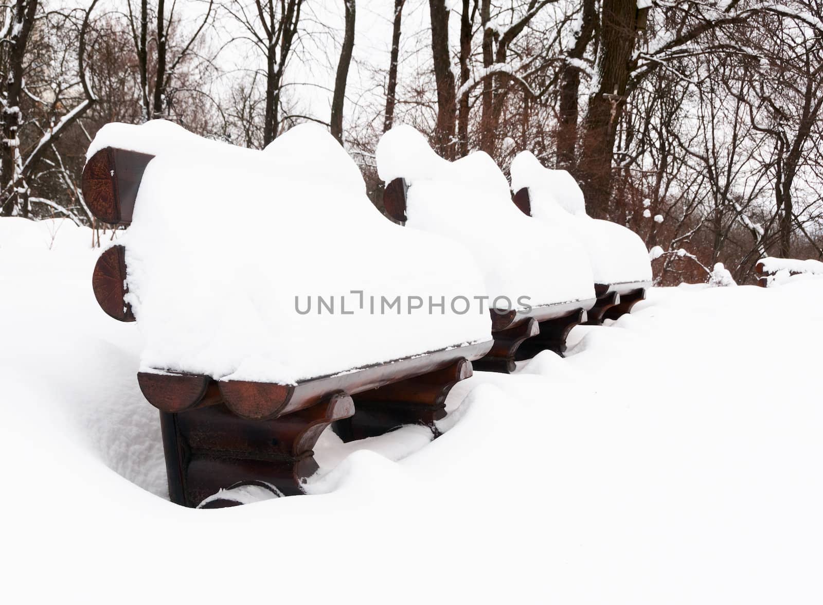 Wooden benches full of snow in winter park