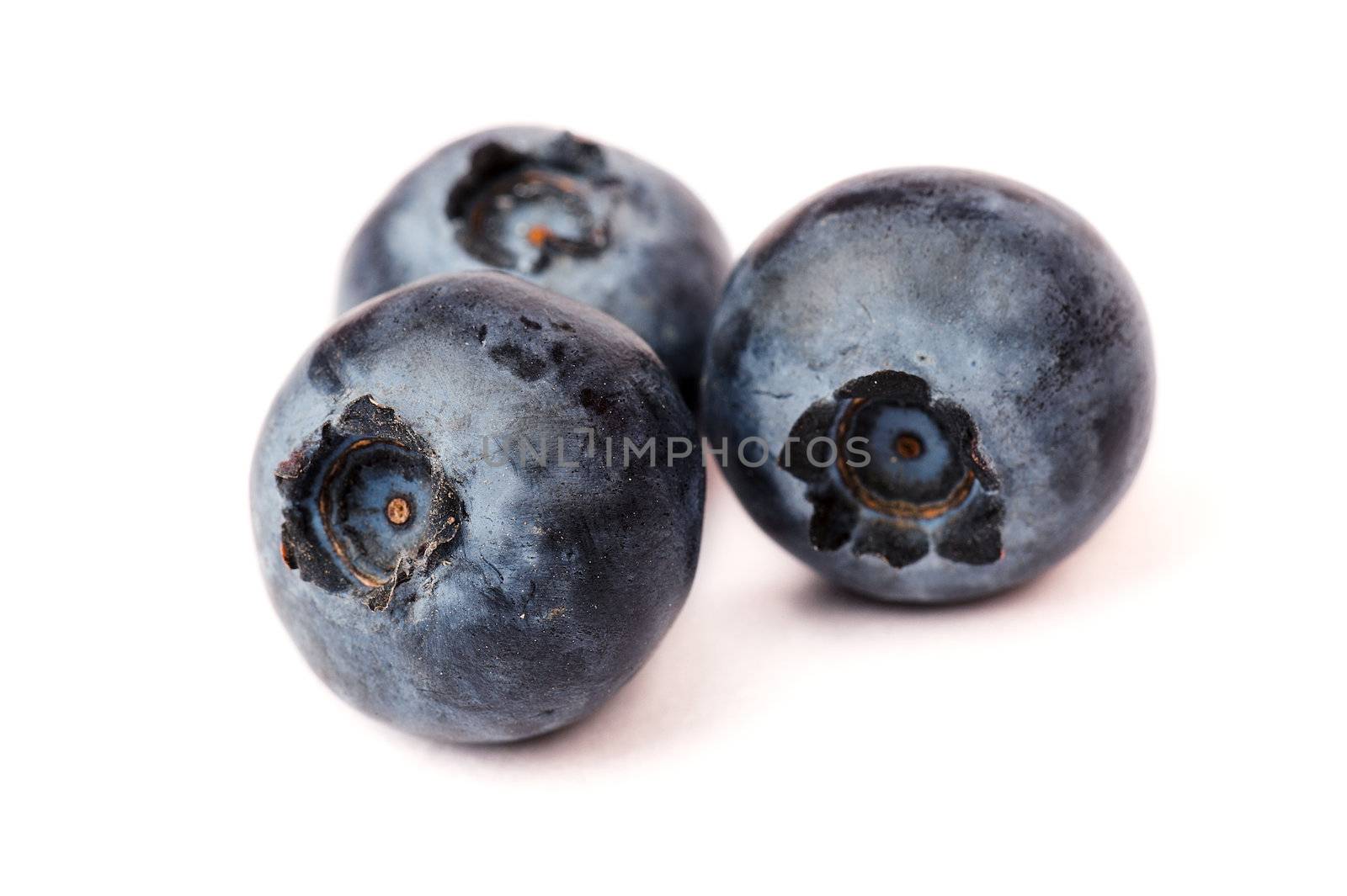 Blueberries isolated on white background by Viktorus