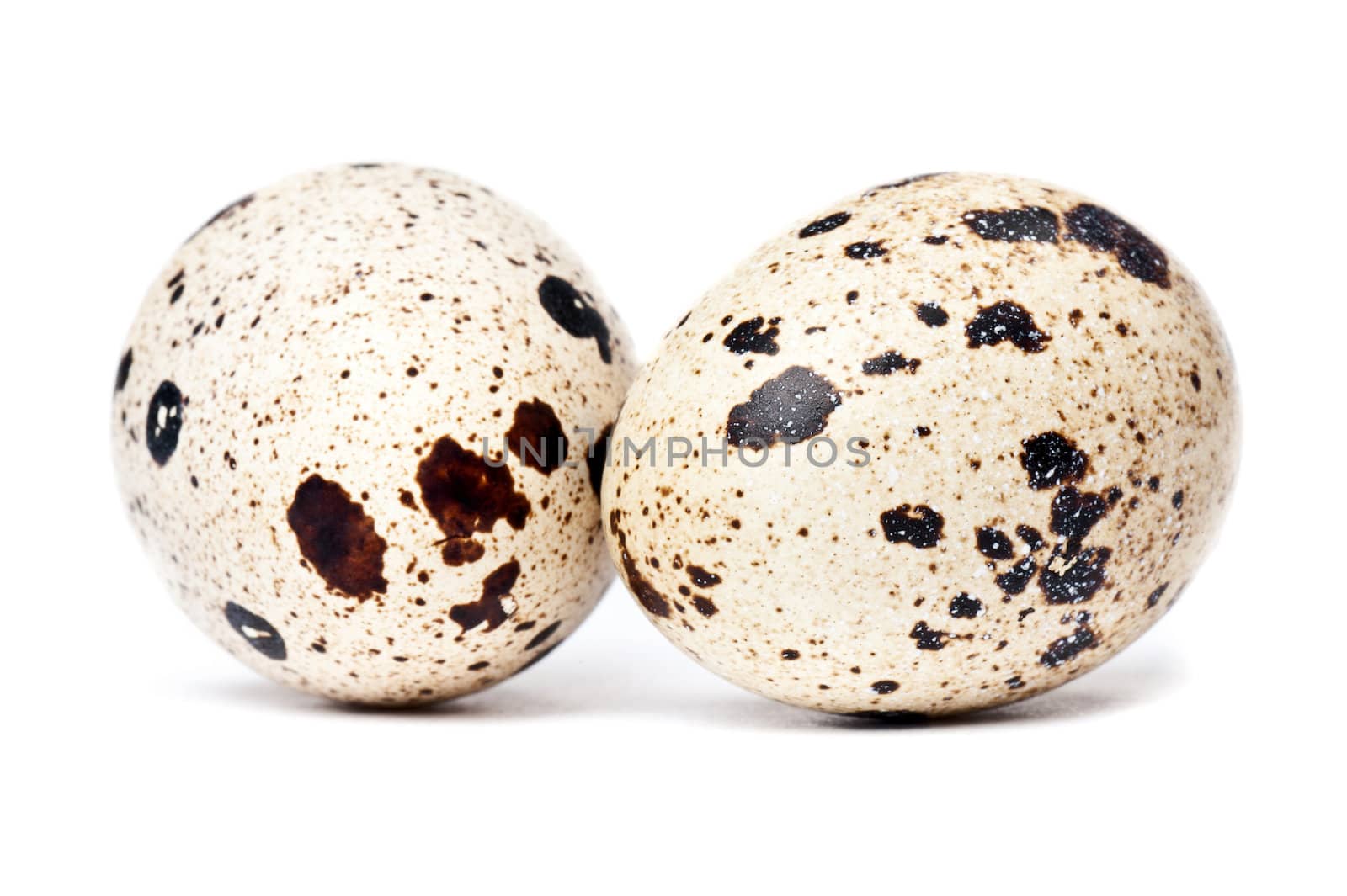 Quail eggs by Viktorus