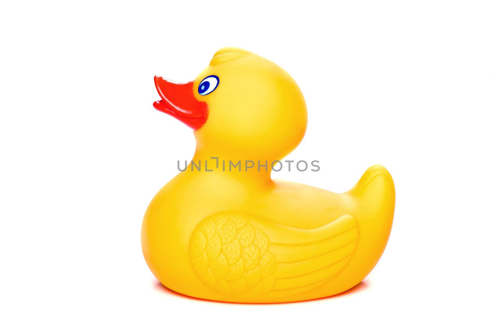 Rubber Duckling by Viktorus