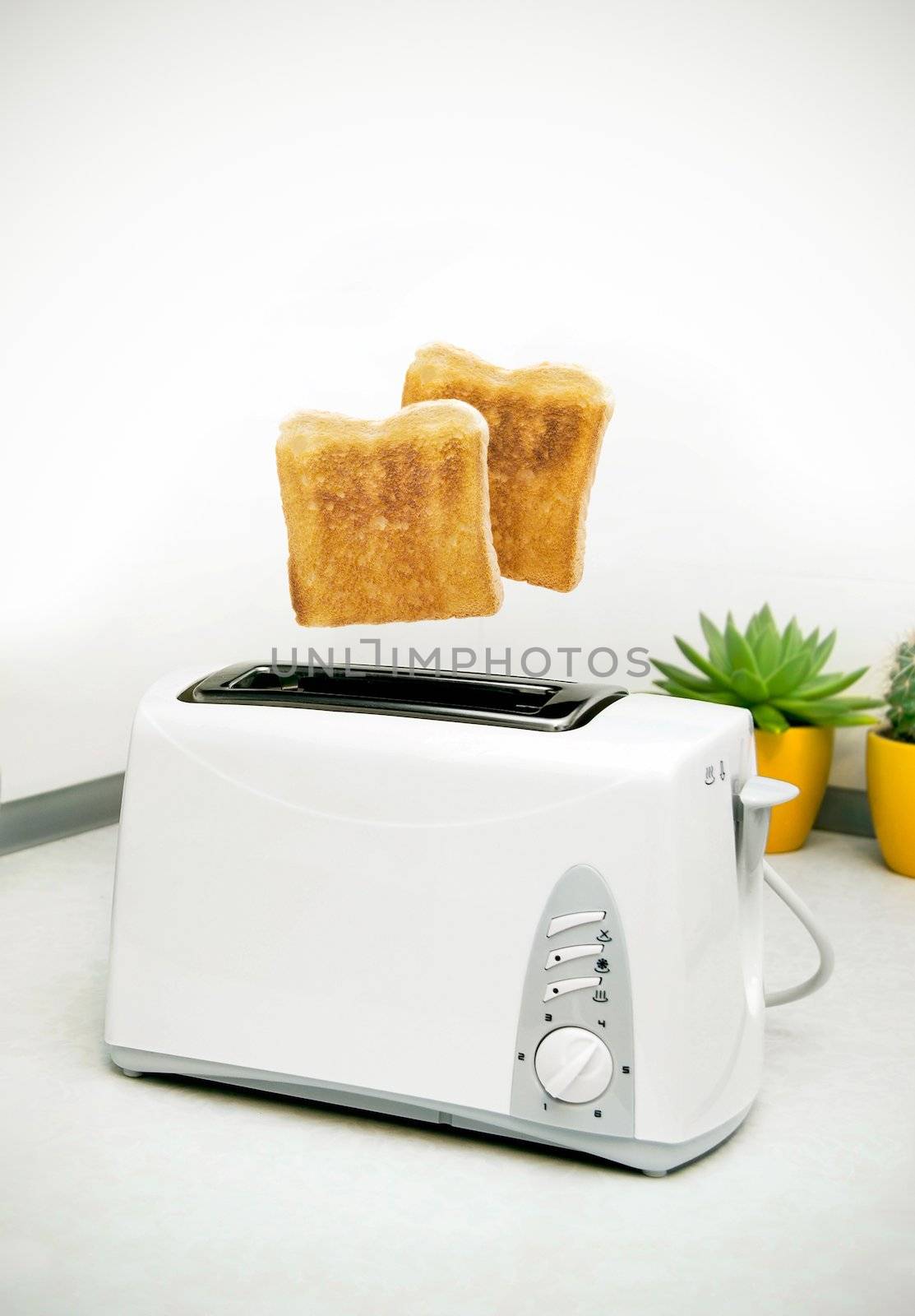 Jumping toasts. Prepare breakfast in kitchen by simpson33