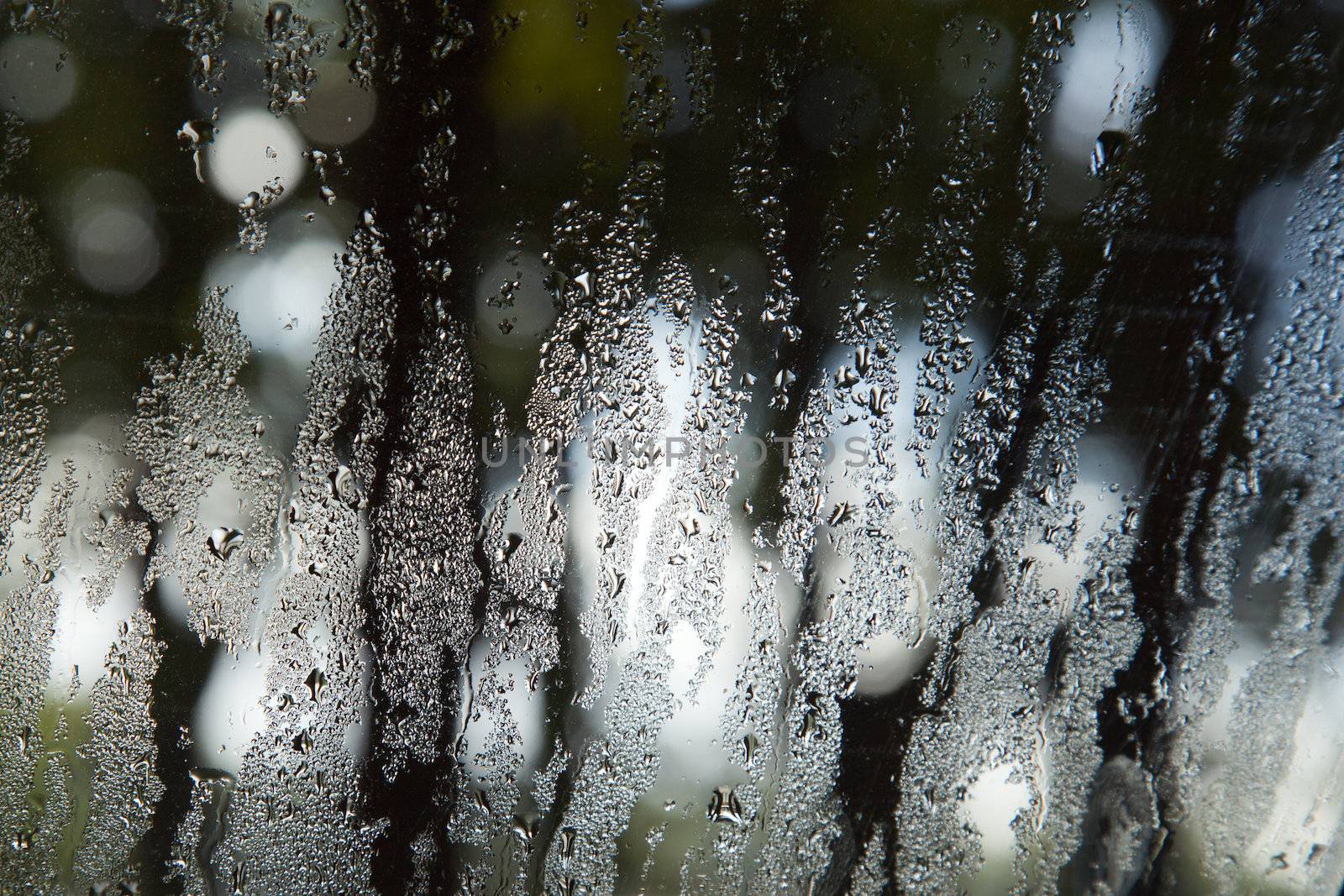 windshield with rain drops by ahavelaar