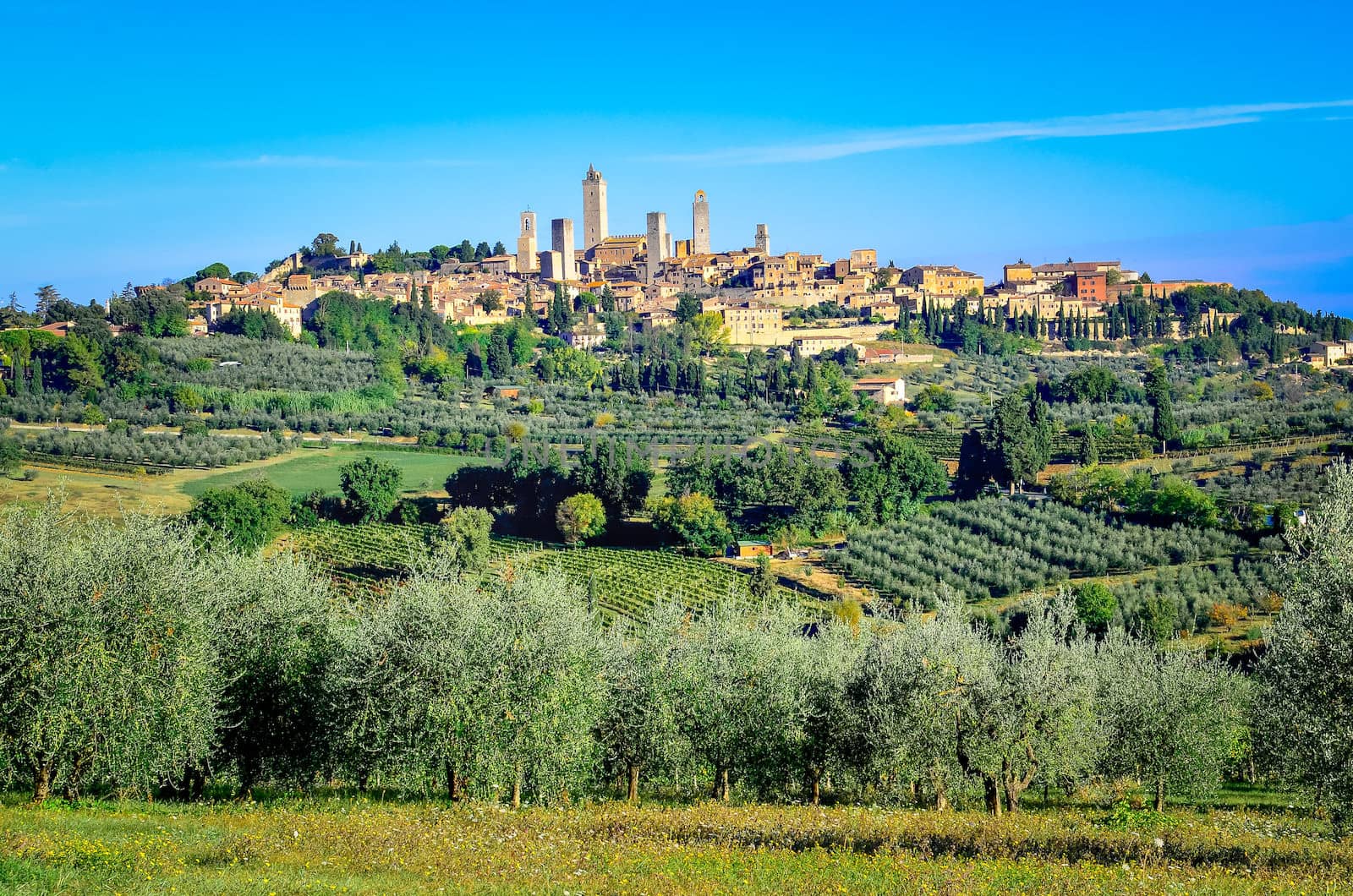 Scenic landscape view of San Gimignano town in Tuscany, Italy