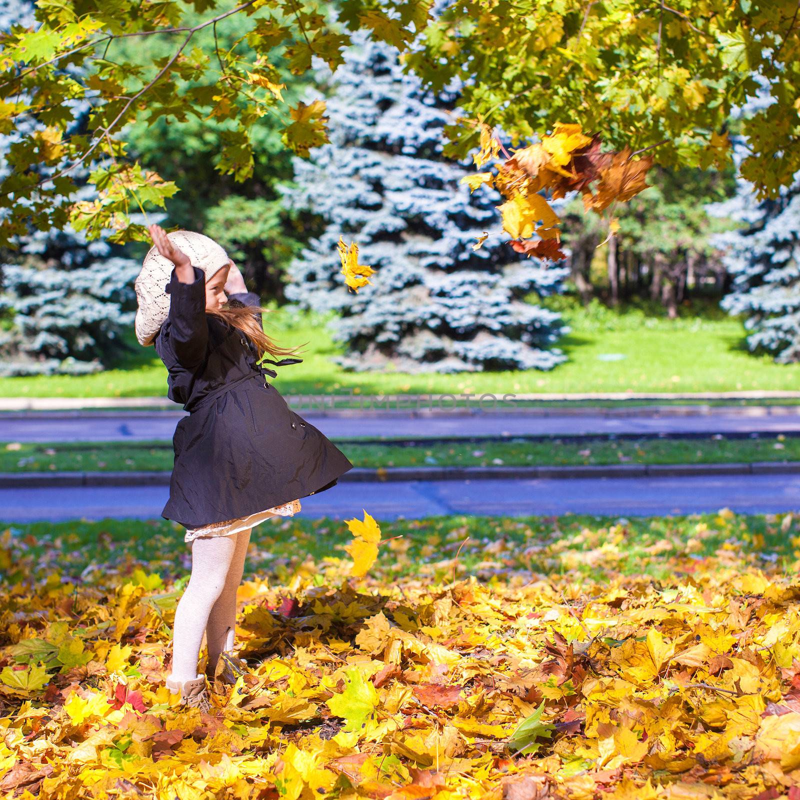 Little funny girl throws autumn leaves in the park on a sunny fall day by travnikovstudio