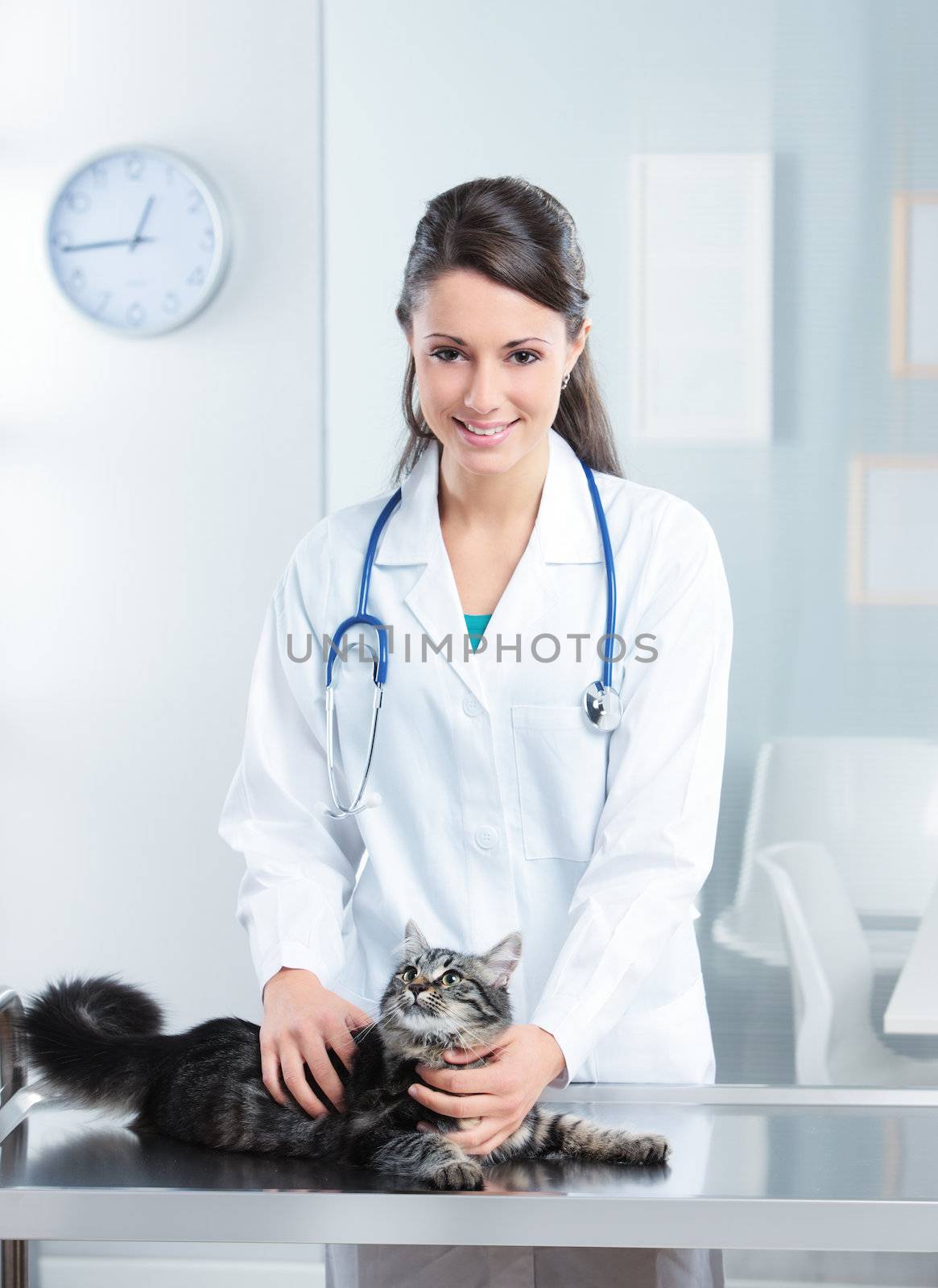 Portrait of a beautiful Veterinarian doctor with a cute cat