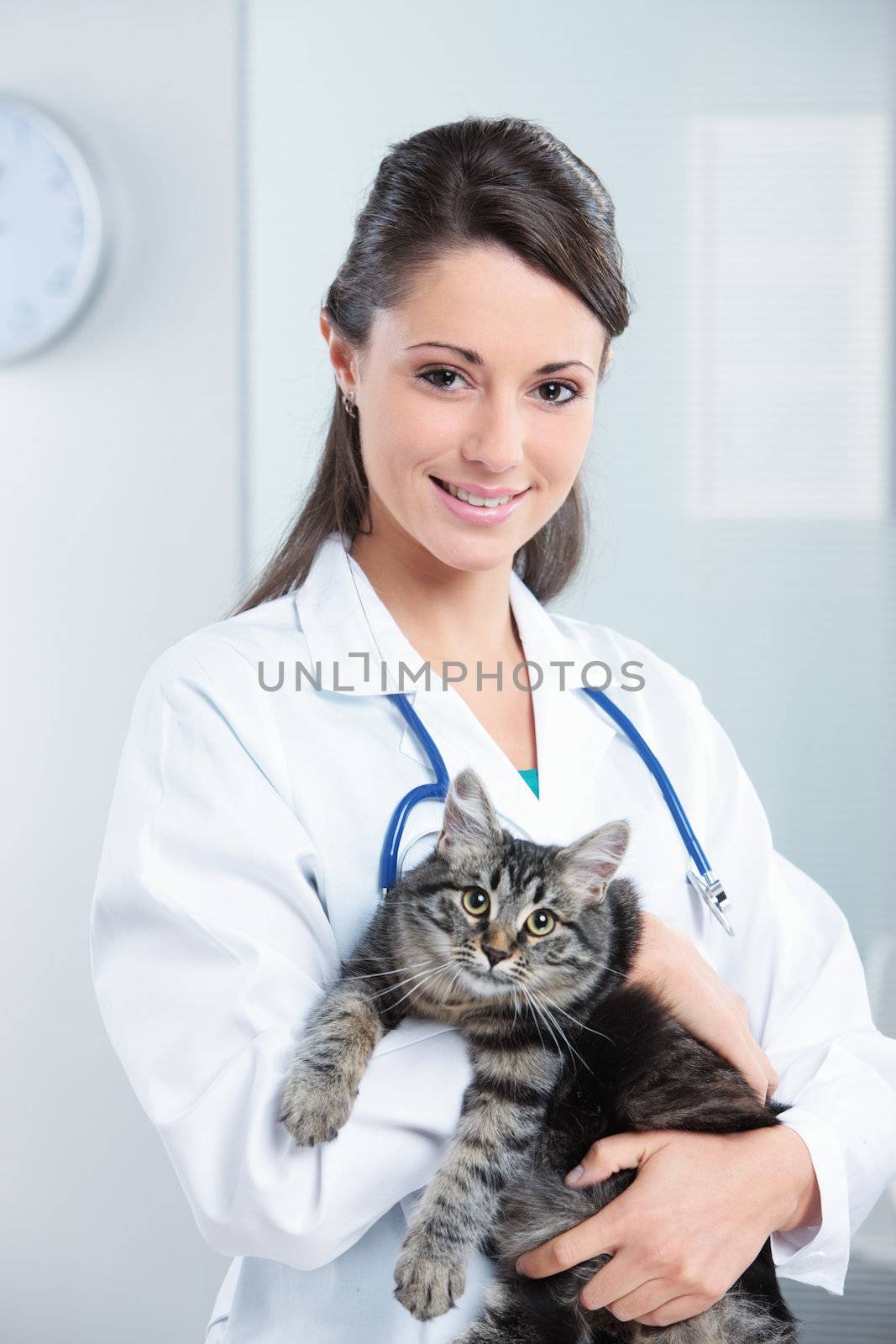 Portrait of a smiling female vet holding a feline 