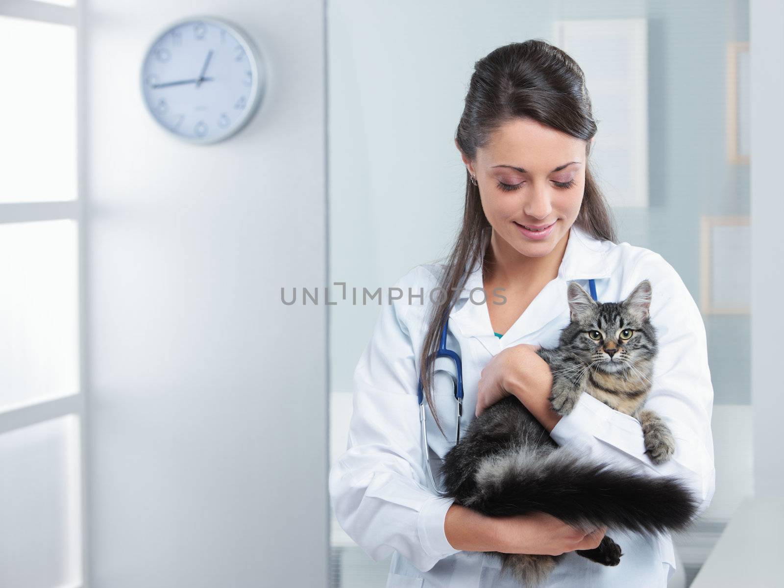 Portrait of a smiling female veterinarian holding a feline 