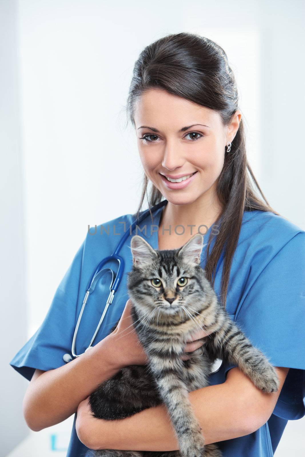 Portrait of a smiling female vet holding a feline 