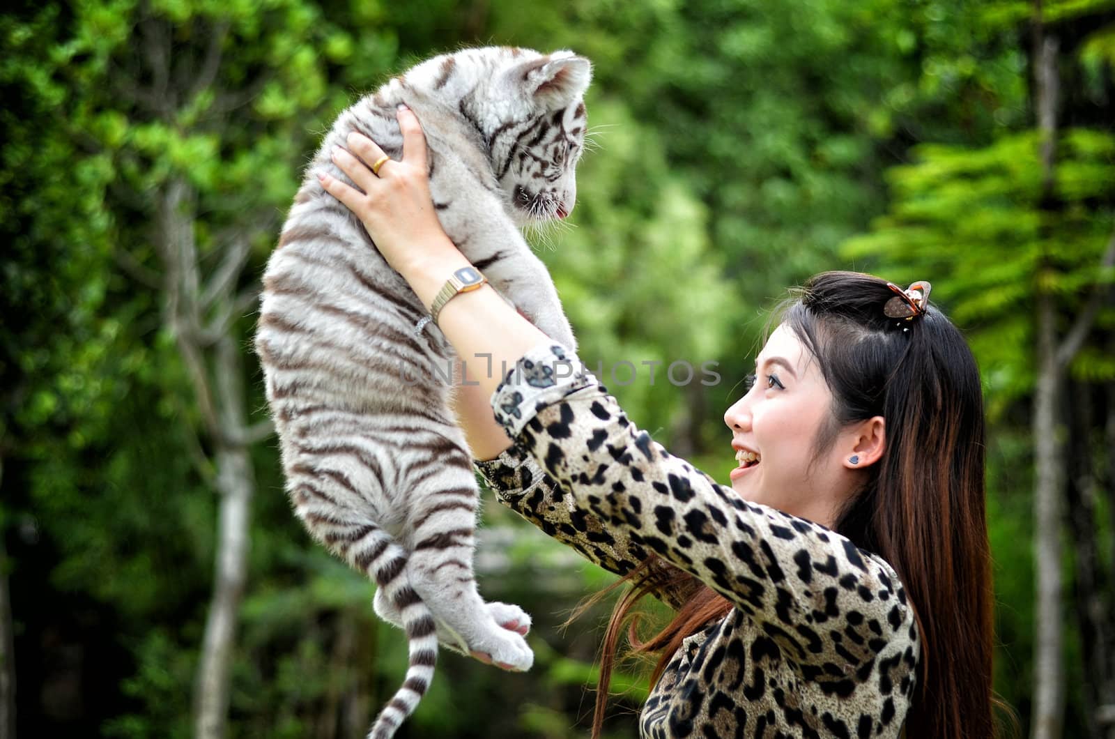 women hold baby white bengal tiger by anankkml