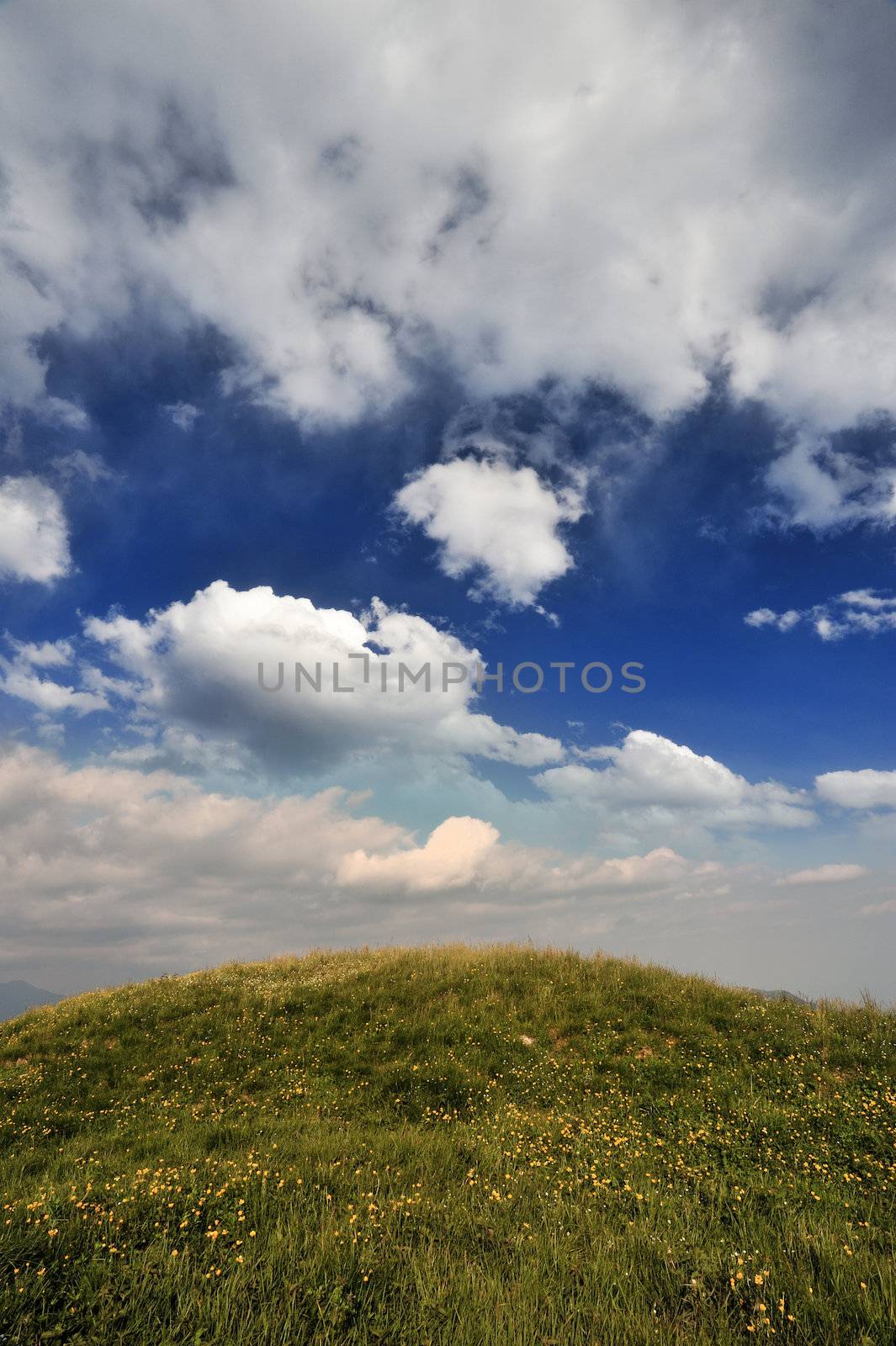 between the earth and the sky by stokkete