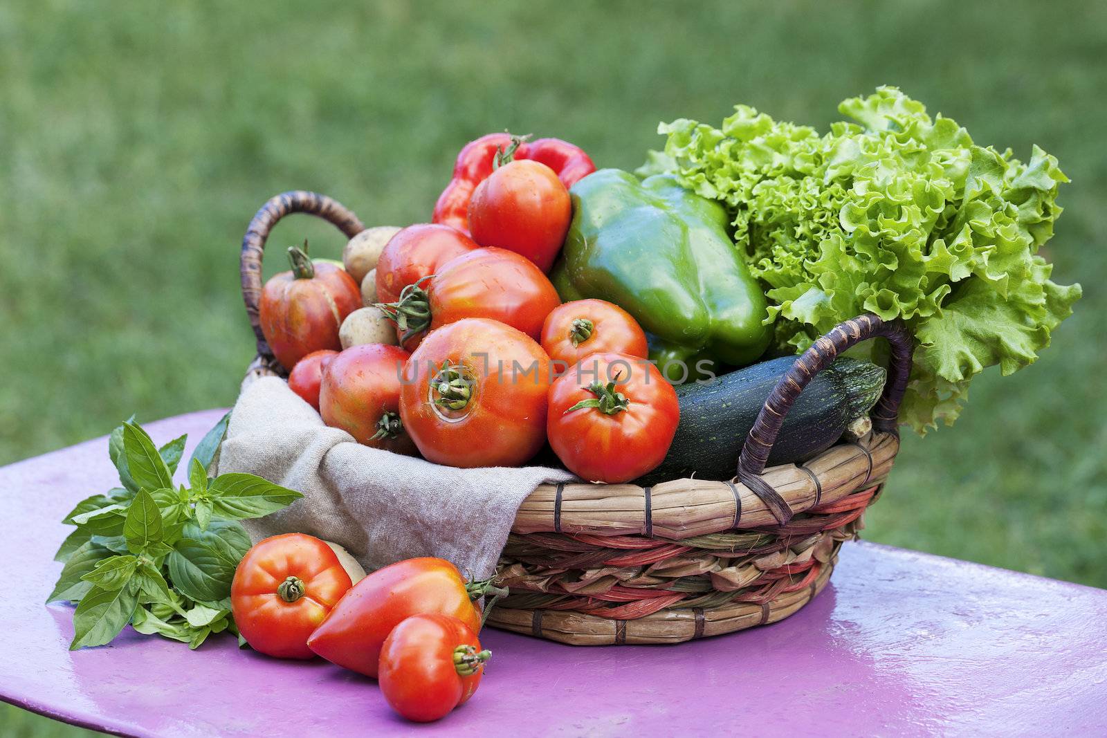 Vegetables on a table in a garden under the sunlight