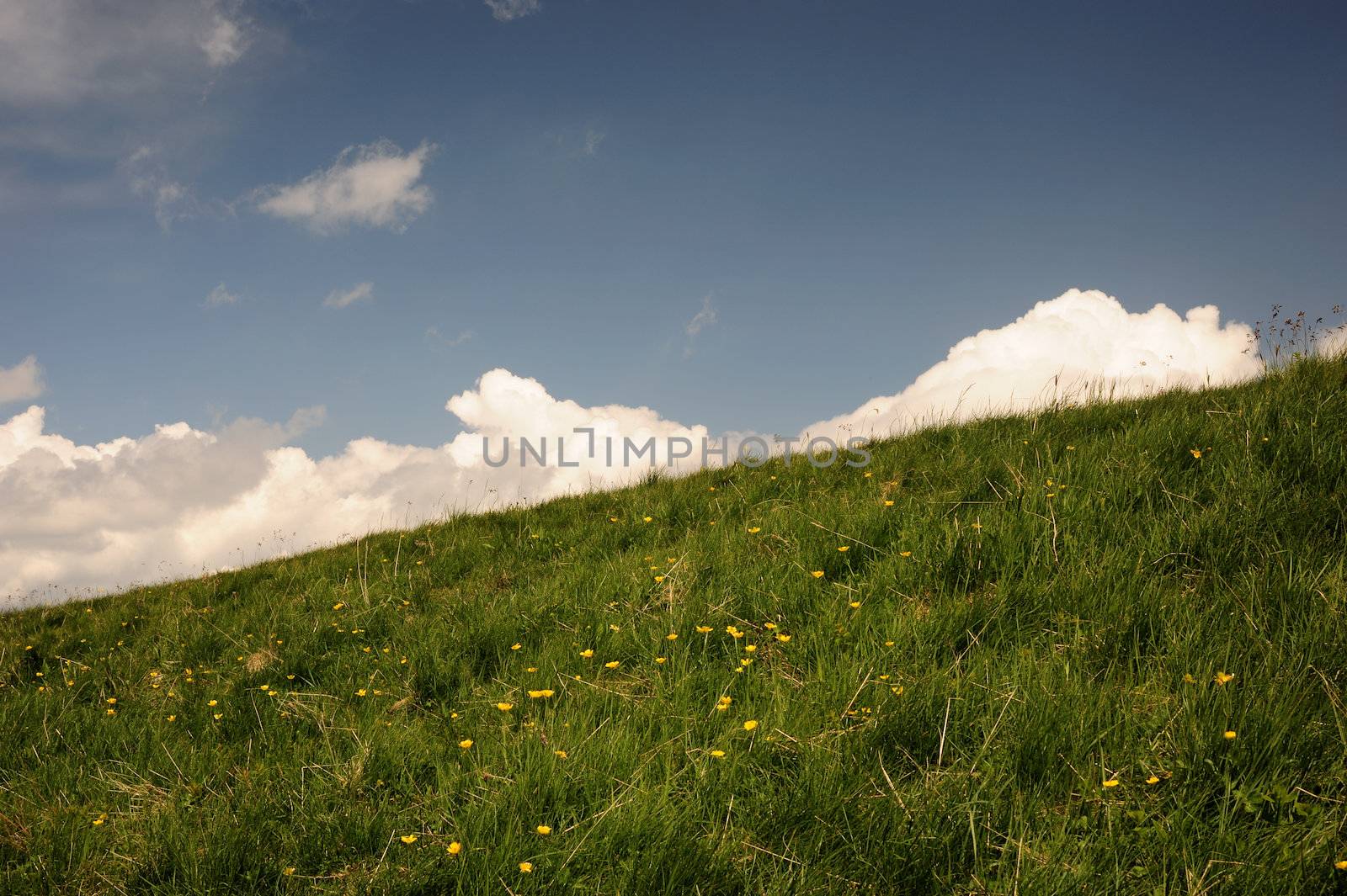 a grassy slope are silhouetted against the blue sky