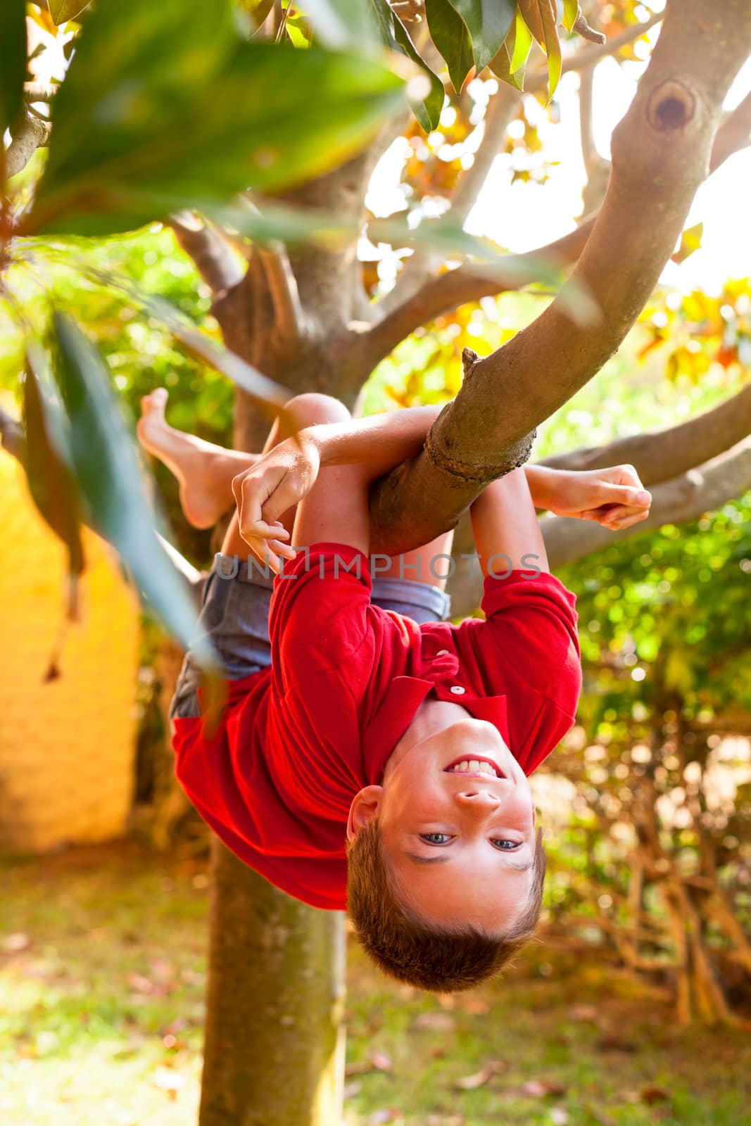 Happy boy enjoying summer day in a garden