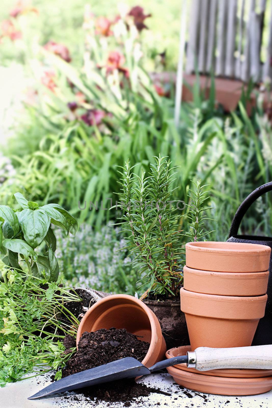 Rustic table with terracotta pots, potting soil, trowel and herbs in front of a beautiful garden surrounding a rustic porch.