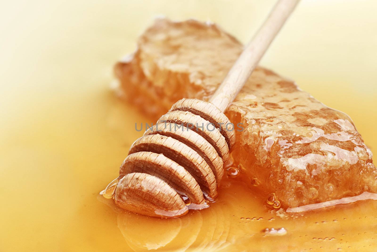 Honey dipper with a fresh comb of honey.