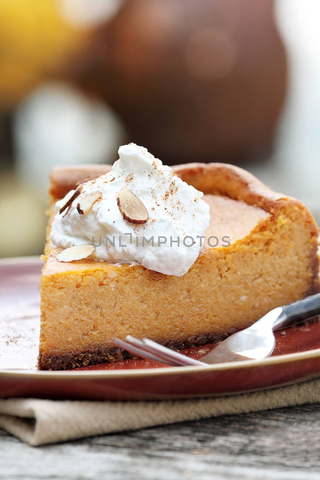  Pumpkin Cheesecake Pie with Whipped Cream by StephanieFrey