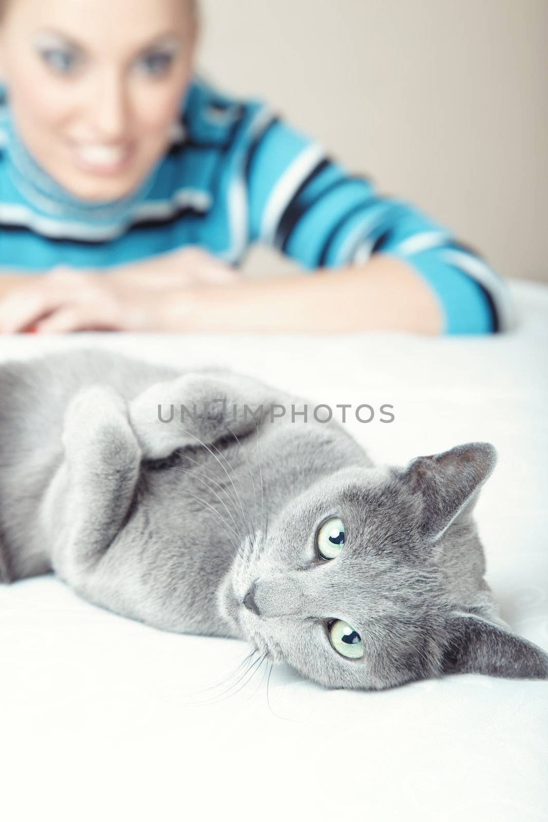 Cat pampering indoors and defocused smiling woman