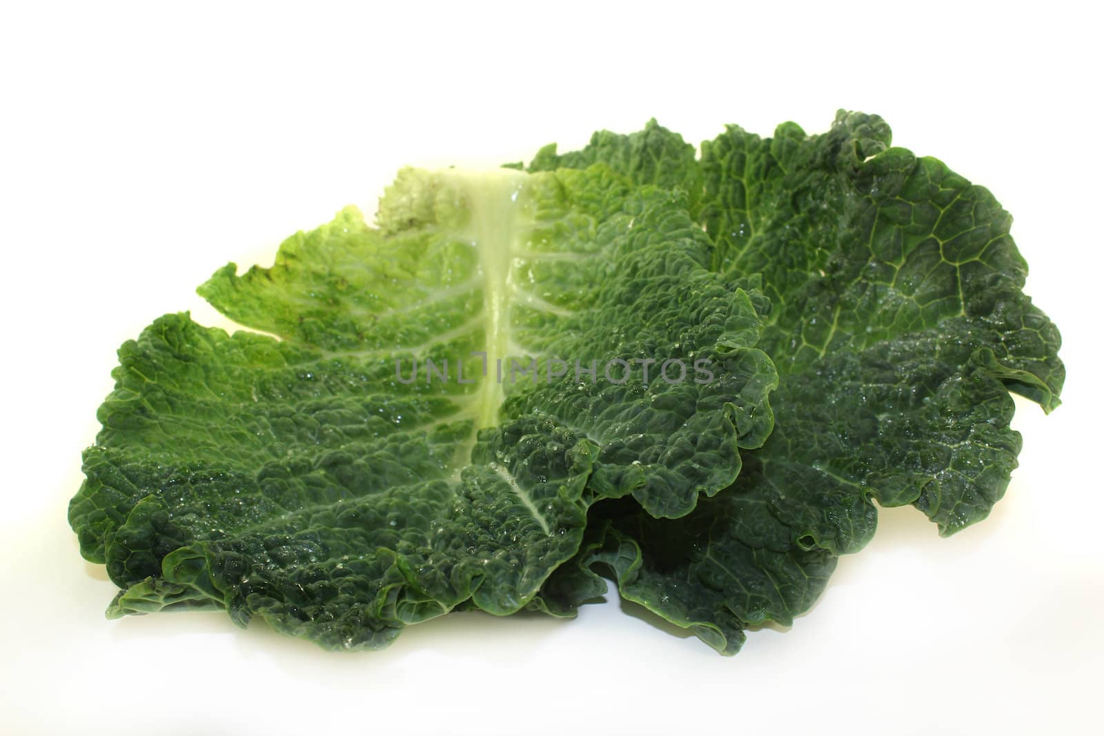 savoy cabbage by silencefoto