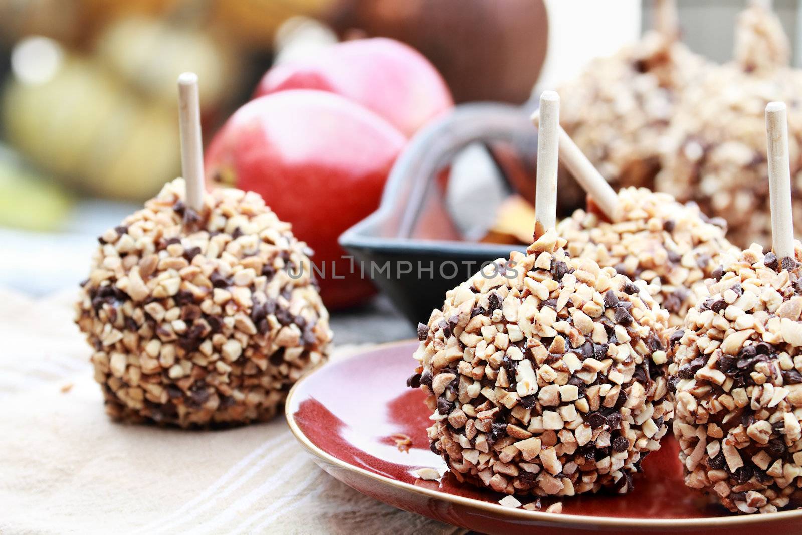 Chocolate Chip and Nut Covered Carmel Apples by StephanieFrey