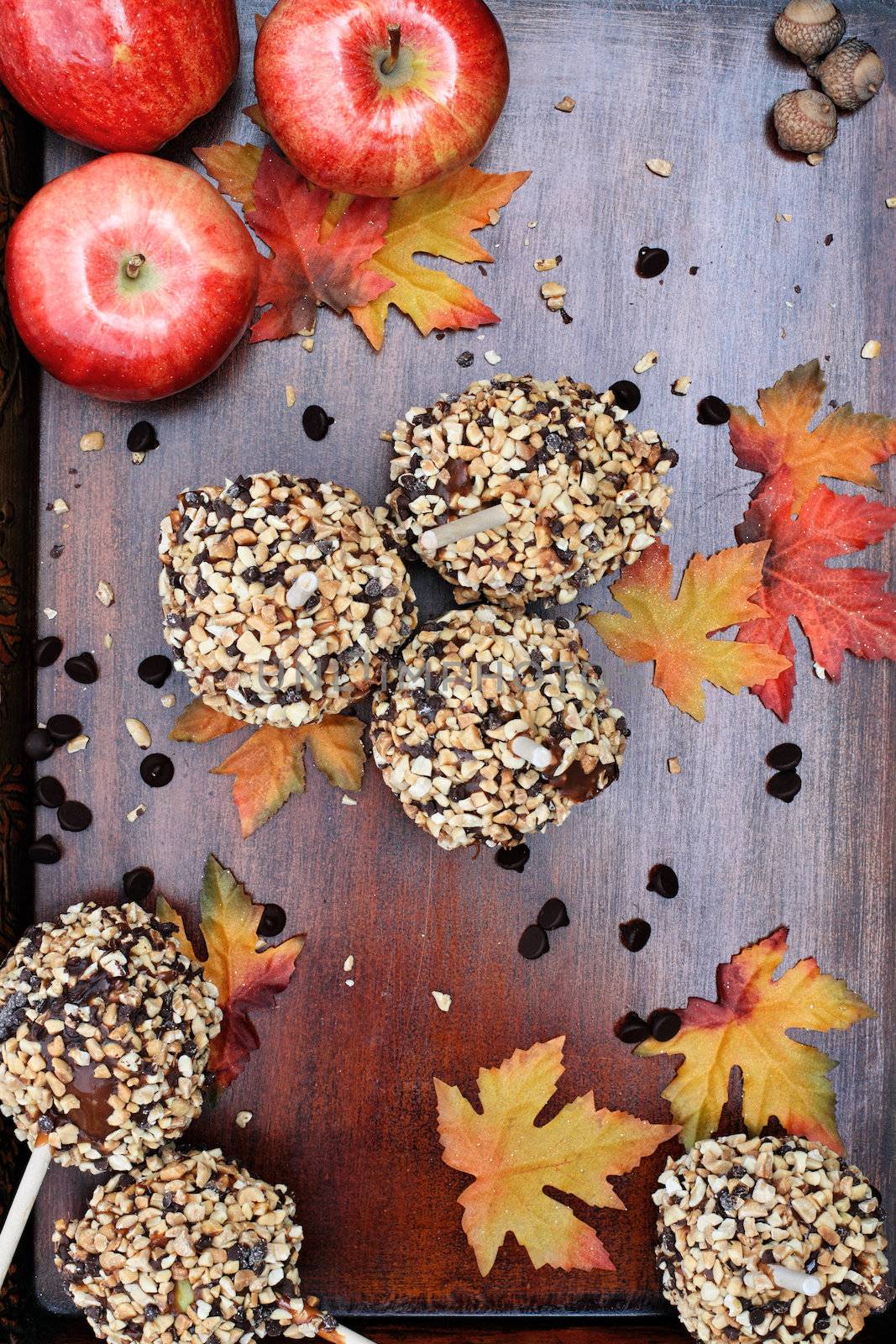 Chocolate Chip Carmel Apples by StephanieFrey