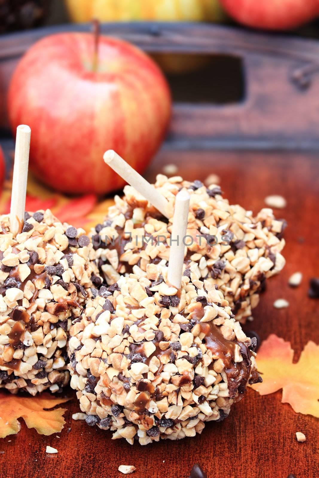 Apples dipped in caramel, chocolate chips and nuts with autumn leaves.