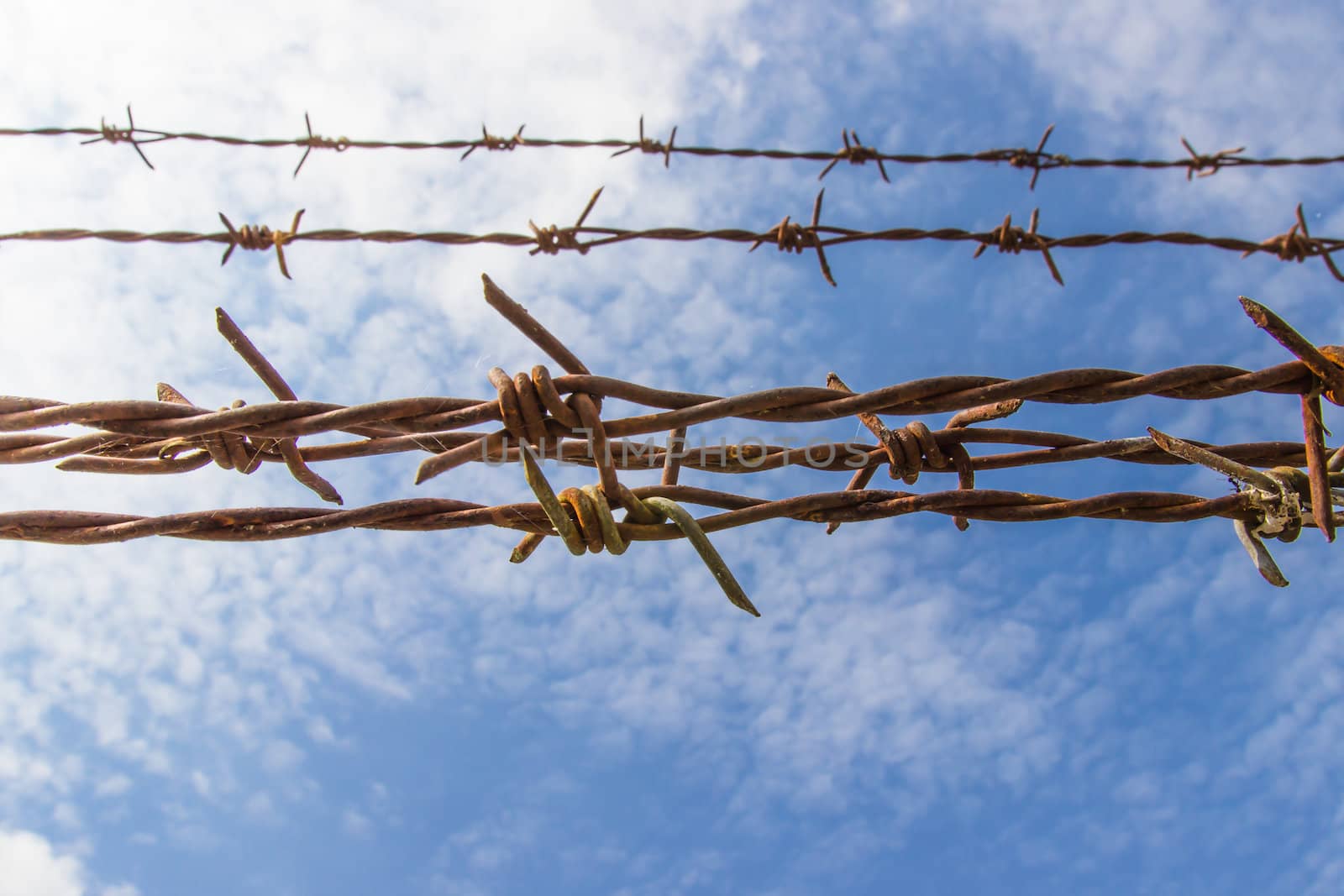 Barbed wire and blue sky by photo2life