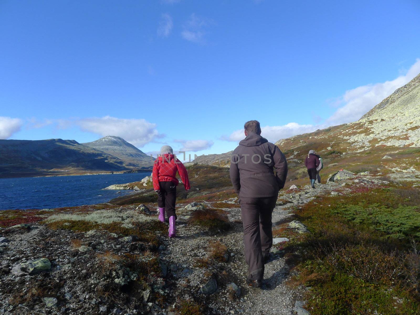 Hiking in the mountain, Telemark with view to Gaustatoppen