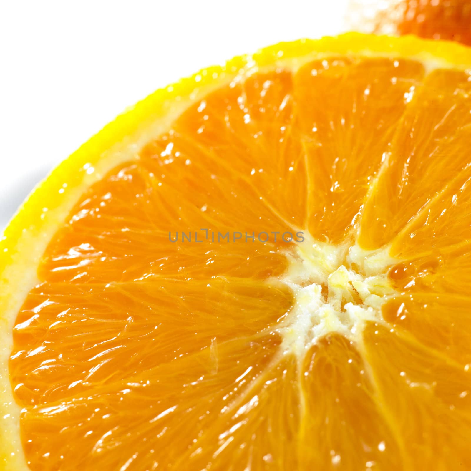 close-up of an orange isolated on a white background