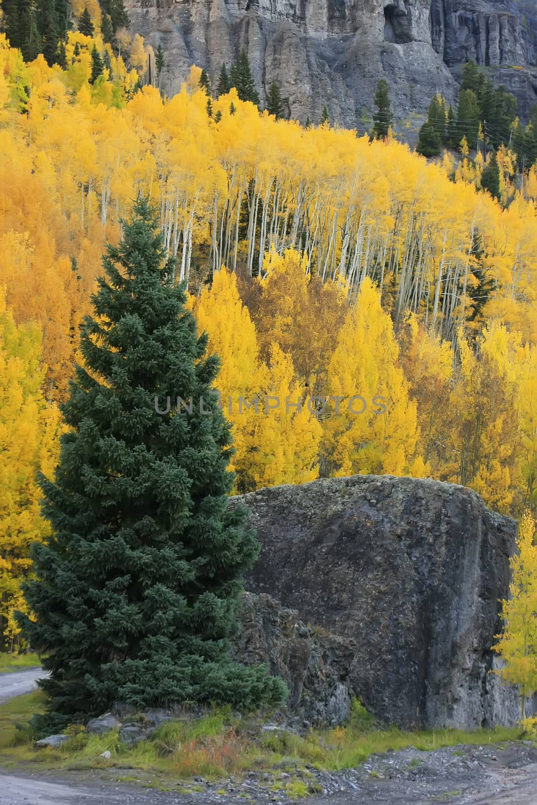 Yankee Boy Basin, Mount Sneffels wilderness, Colorado by donya_nedomam