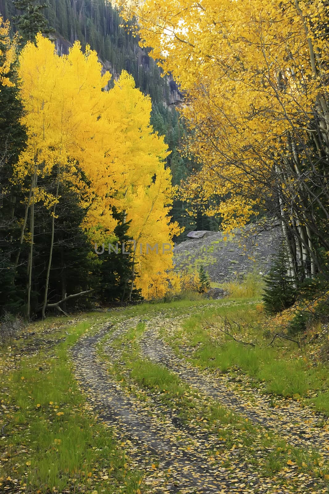 Yankee Boy Basin, Mount Sneffels wilderness, Colorado by donya_nedomam