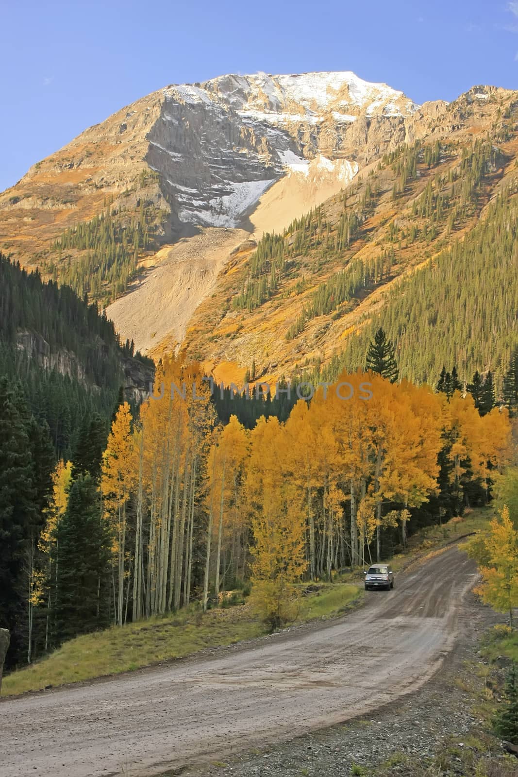 Yankee Boy Basin, Mount Sneffels wilderness, Colorado, USA