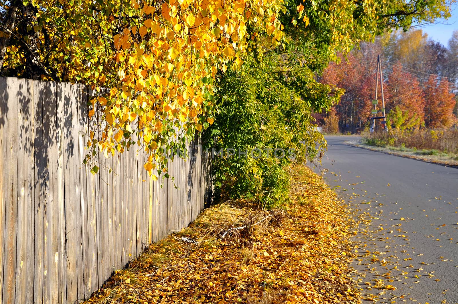 Golden autumn, old fence and road... by veronka72