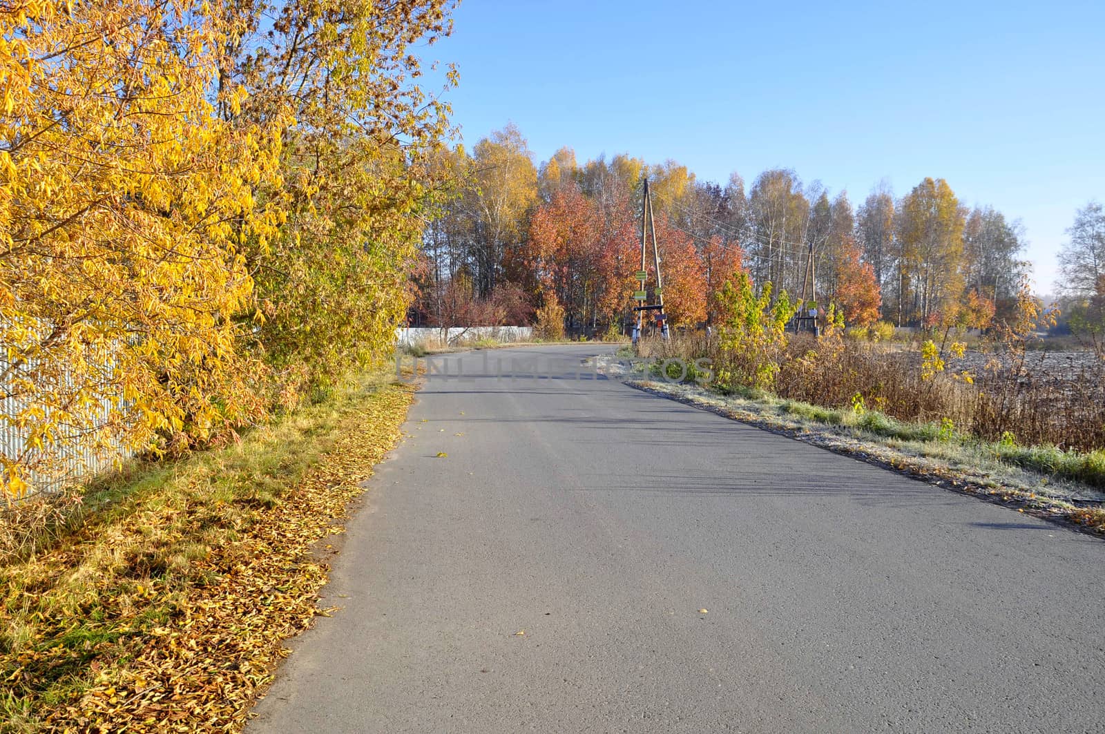 Golden autumn and road...